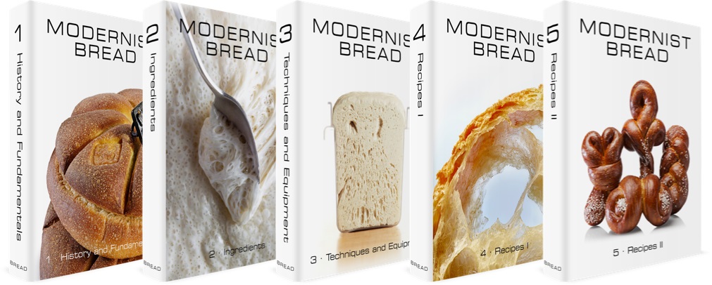 Modernist Bread / Myhrvold & Migoya