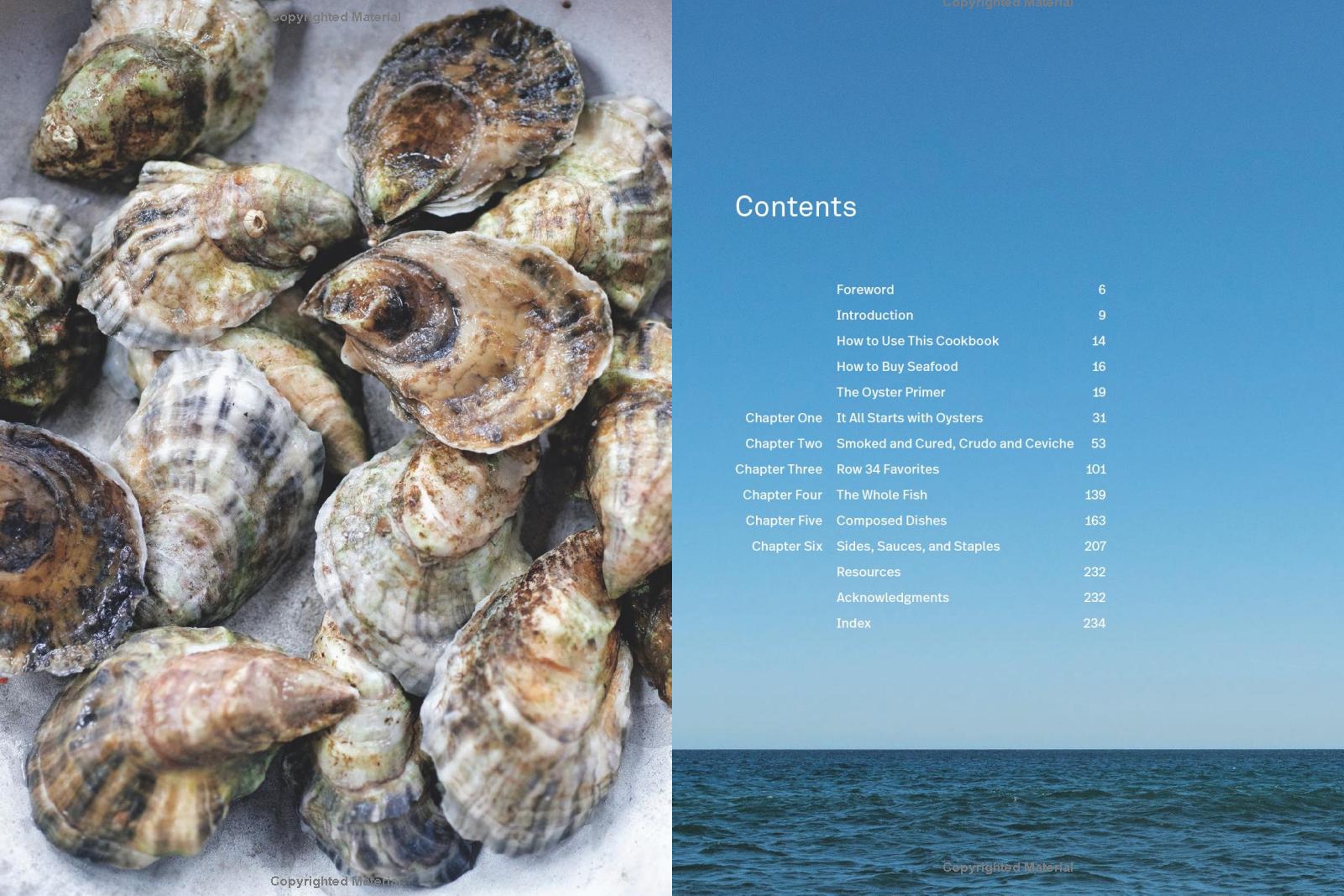 The Row 34 Cookbook: Stories and Recipes from a Neighbourhood Oyster Bar / Jeremy Sewall
