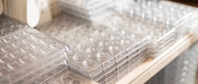 Chokoladeforme Hos Kunst Og Køkkentøj (3)