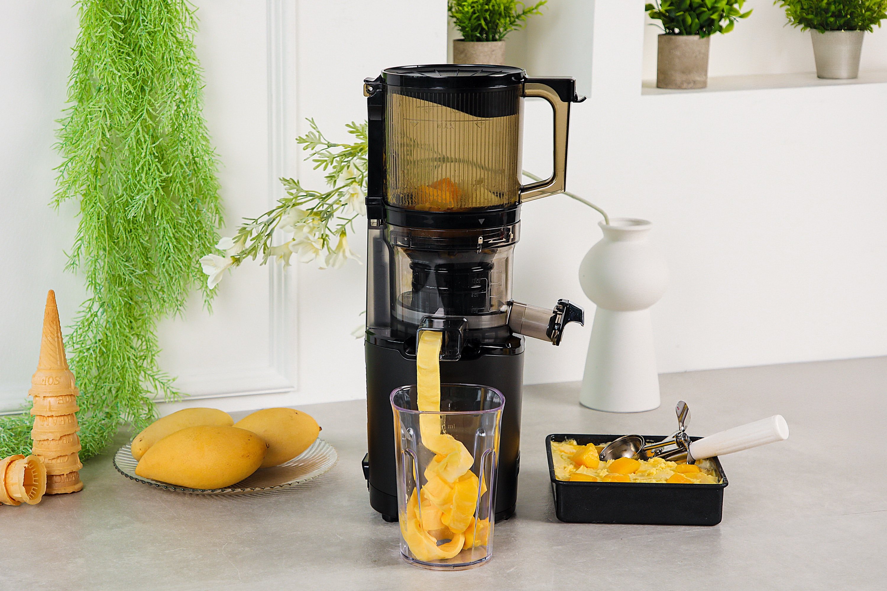 Slowjuicer, AUTO8 Whole Slow Juicer
