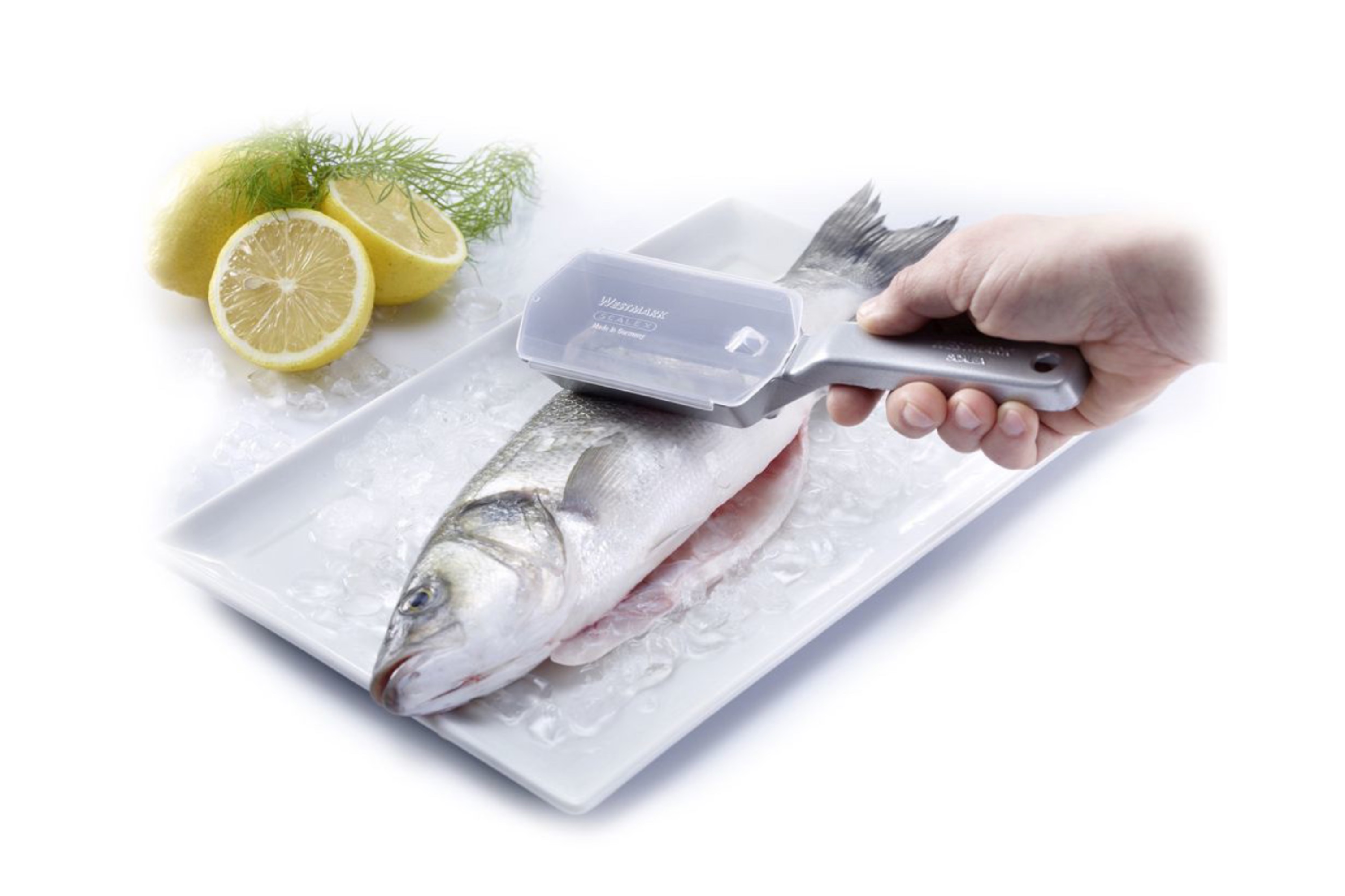 Fiskeskælsskraber Scalex, aluminium