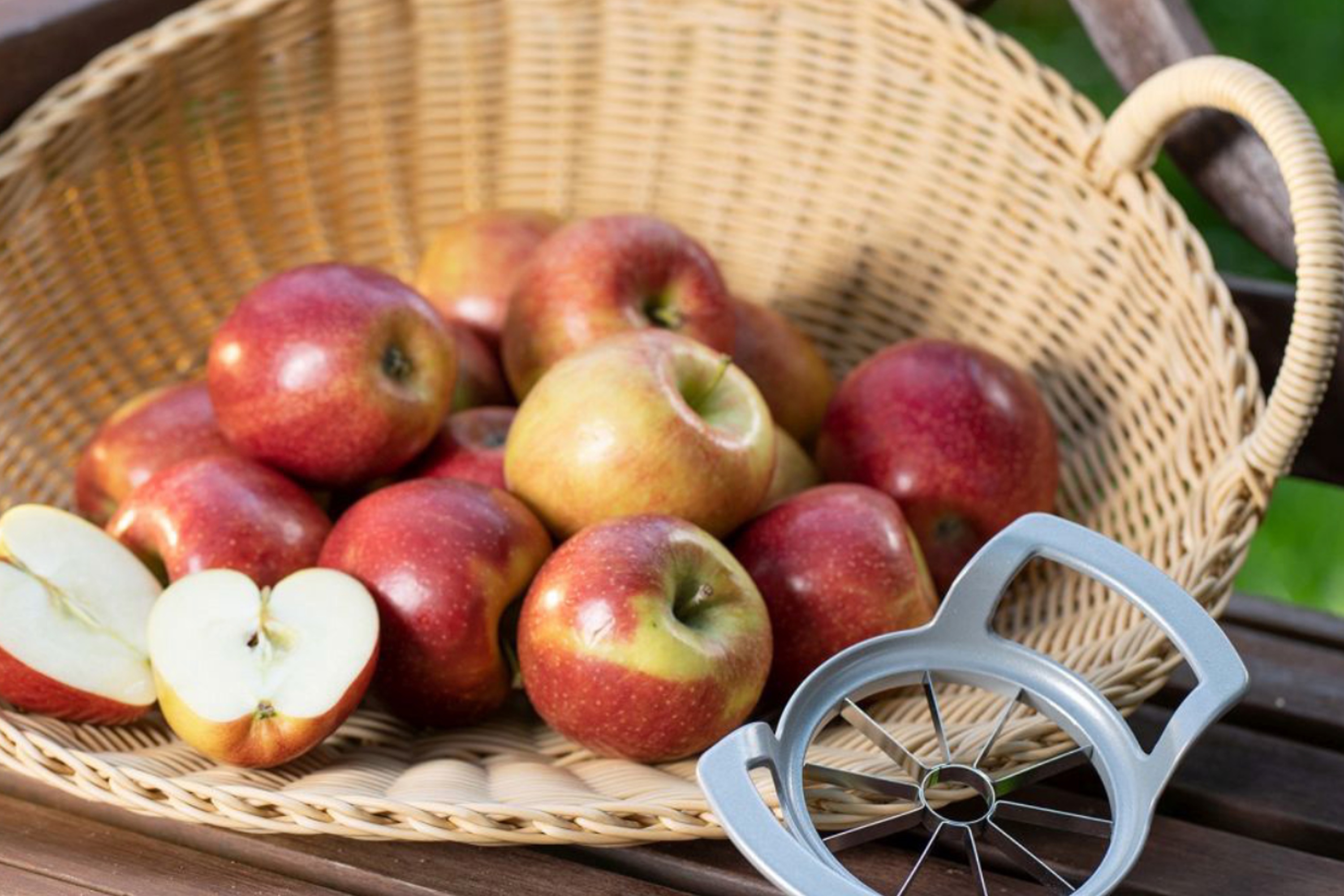Æbledeler Divisorex, aluminium