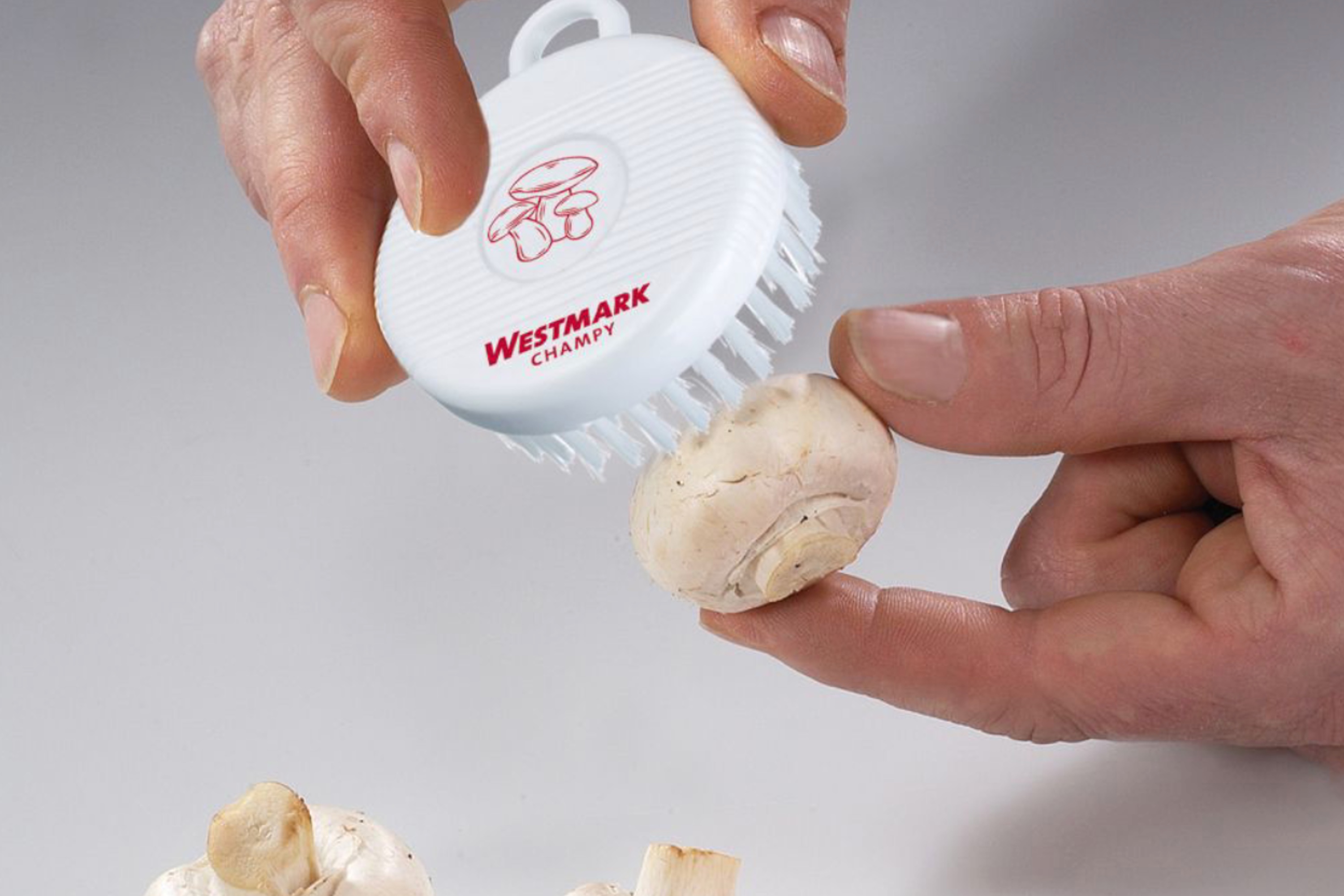 Svampebørste Champy, plast