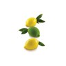 Silikoneform, Limone & Lime 120