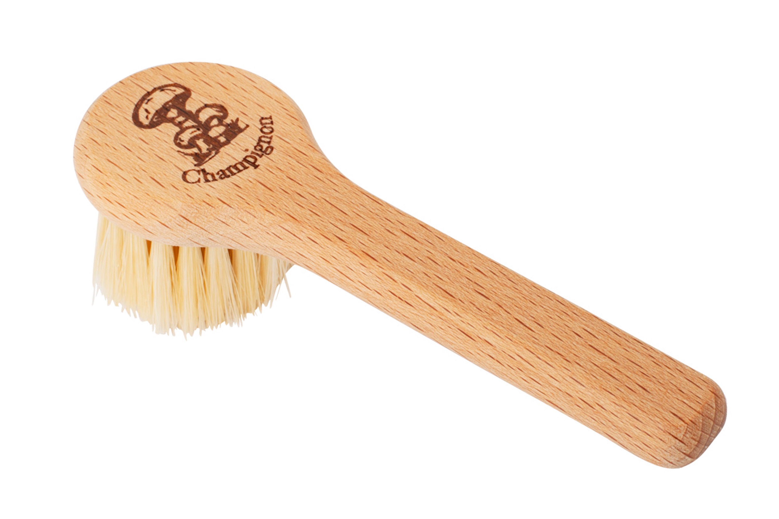 Svampebørste, bøgetræ