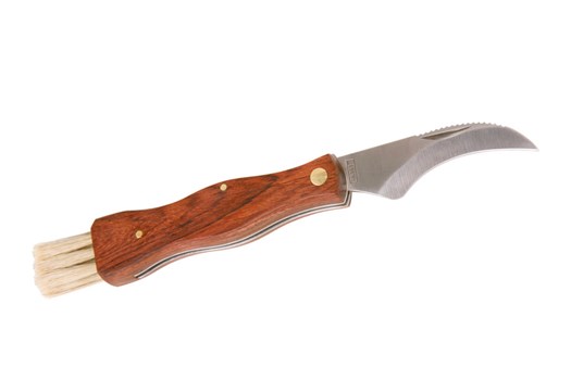 Svampefoldekniv med børste, træ