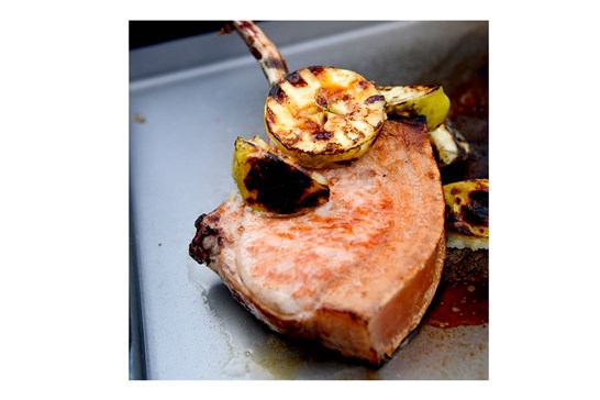 Stegeplade til Kasai Nano konrogrill