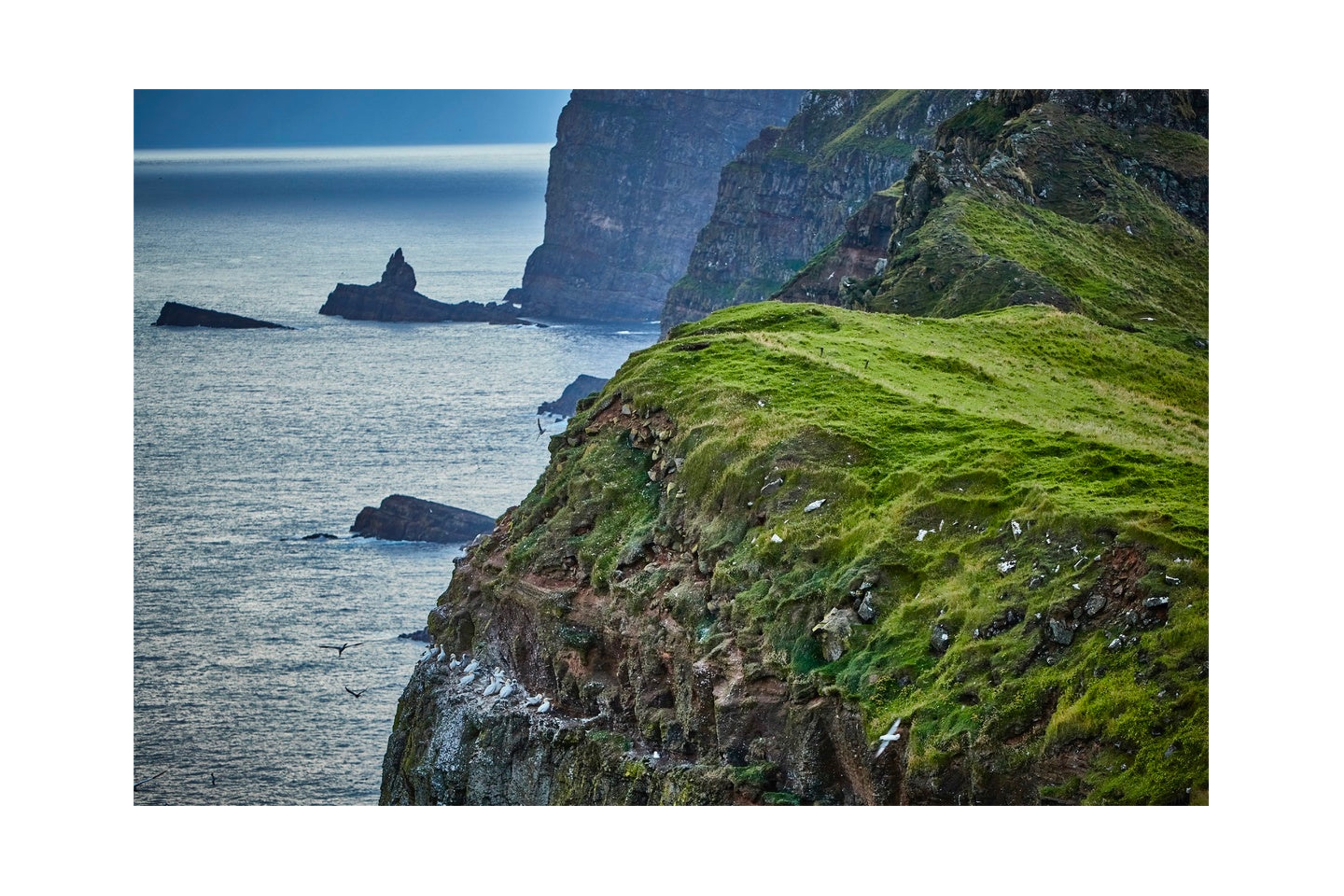 Faroe Islands Flavor / Restaurant Koks