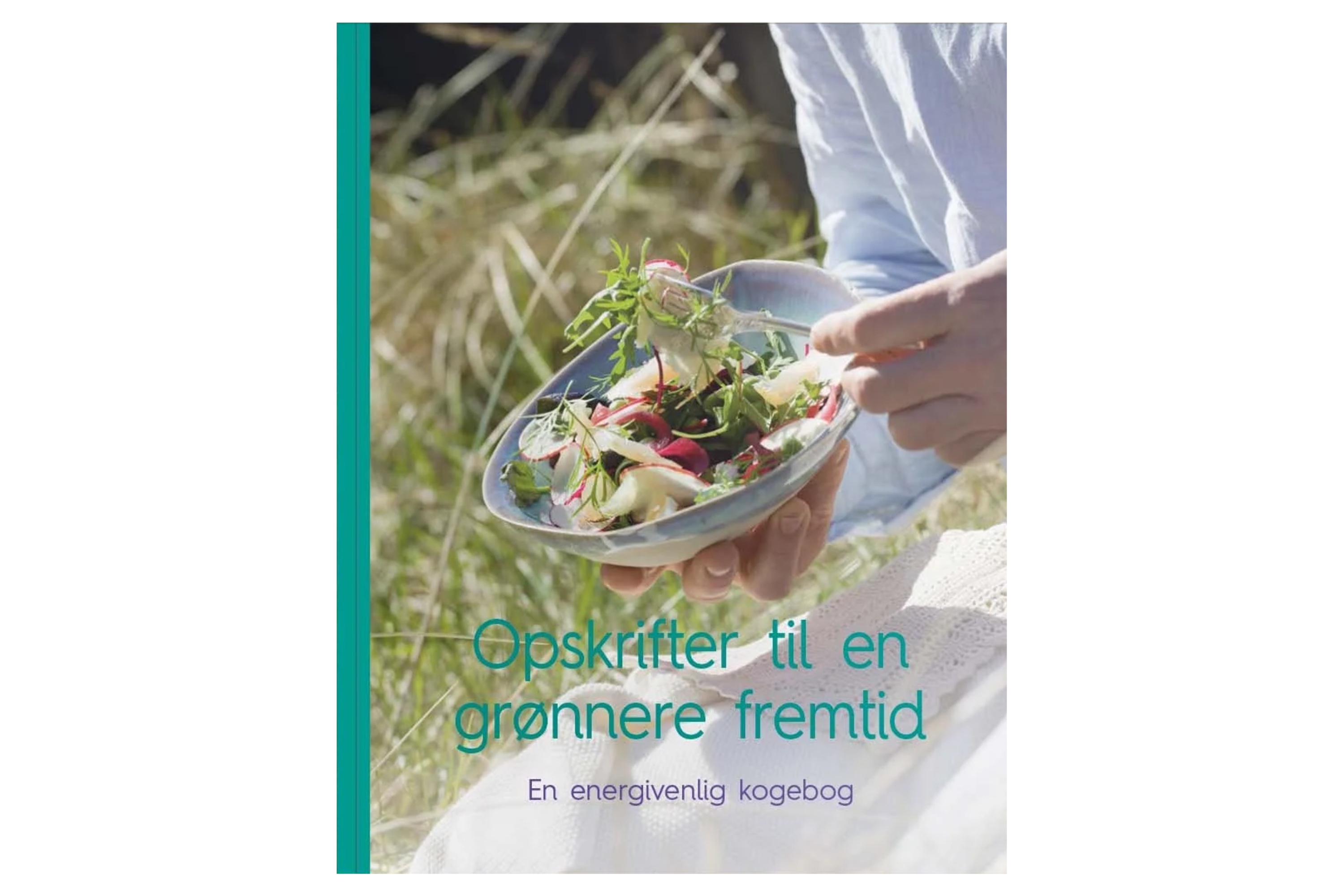 Opskrifter til en grønnere fremtid – en energivenlig kogebog