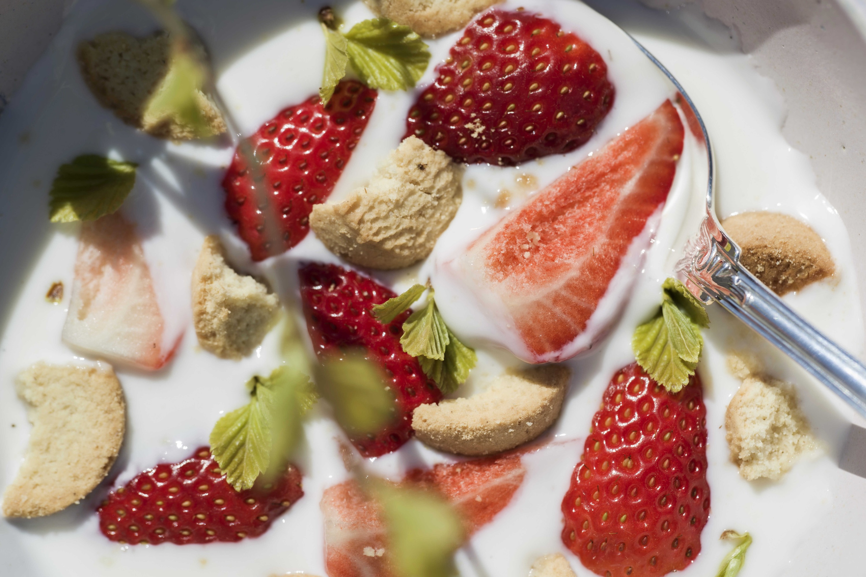 Opskrifter til en grønnere fremtid – en energivenlig kogebog