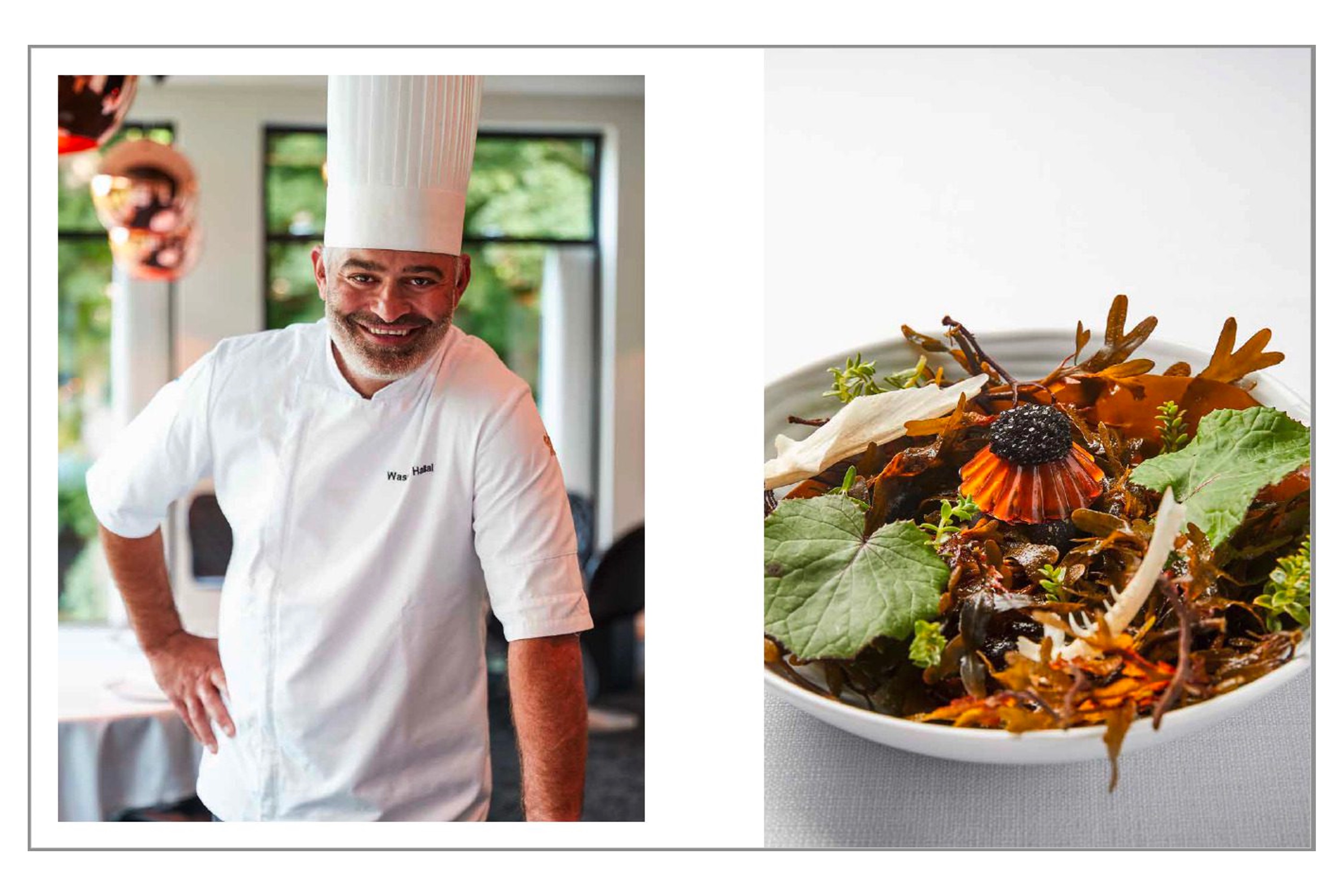 En gastronomisk rejse i Danmark / Claes Bech-Poulsen m.fl.