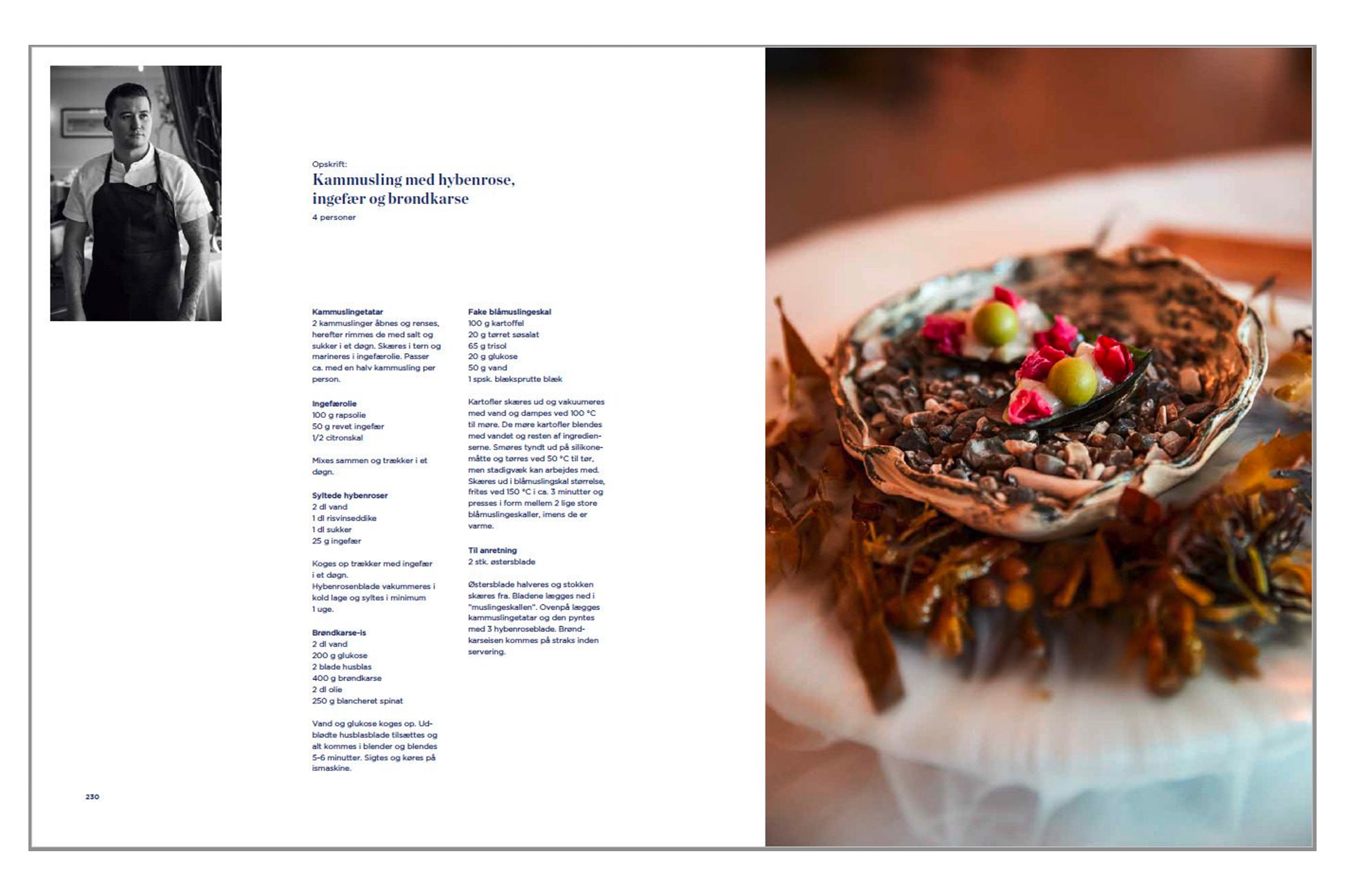 En gastronomisk rejse i Danmark / Claes Bech-Poulsen m.fl.