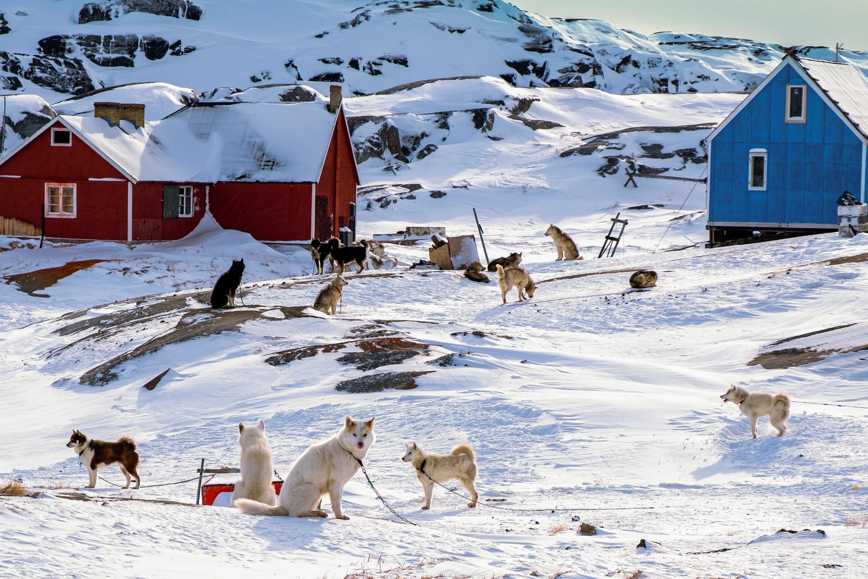 Bites and tales from Greenland / Kennie Ørsted, Sune Rasborg