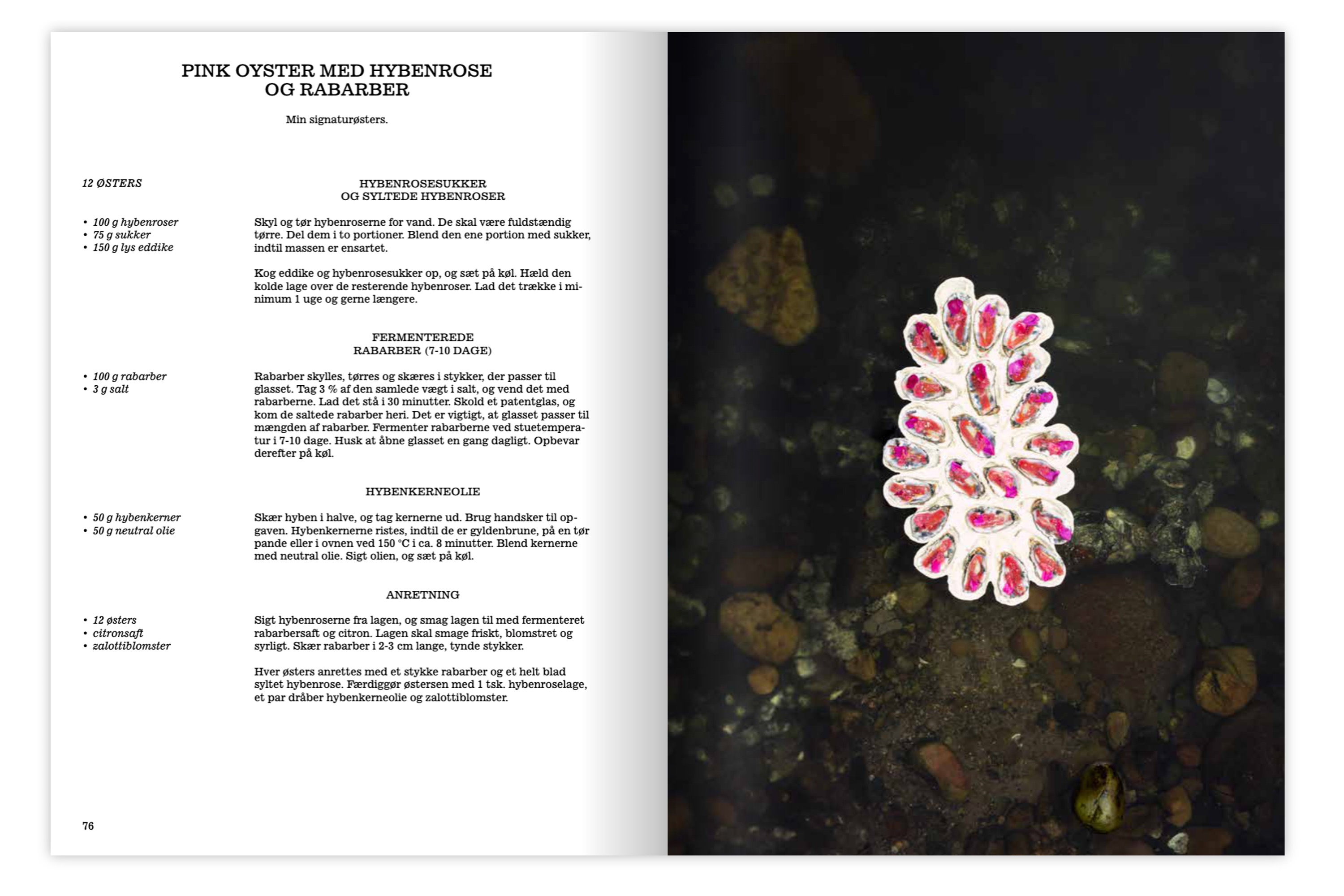 Pink Oyster / Jonas Harboe Frederiksen