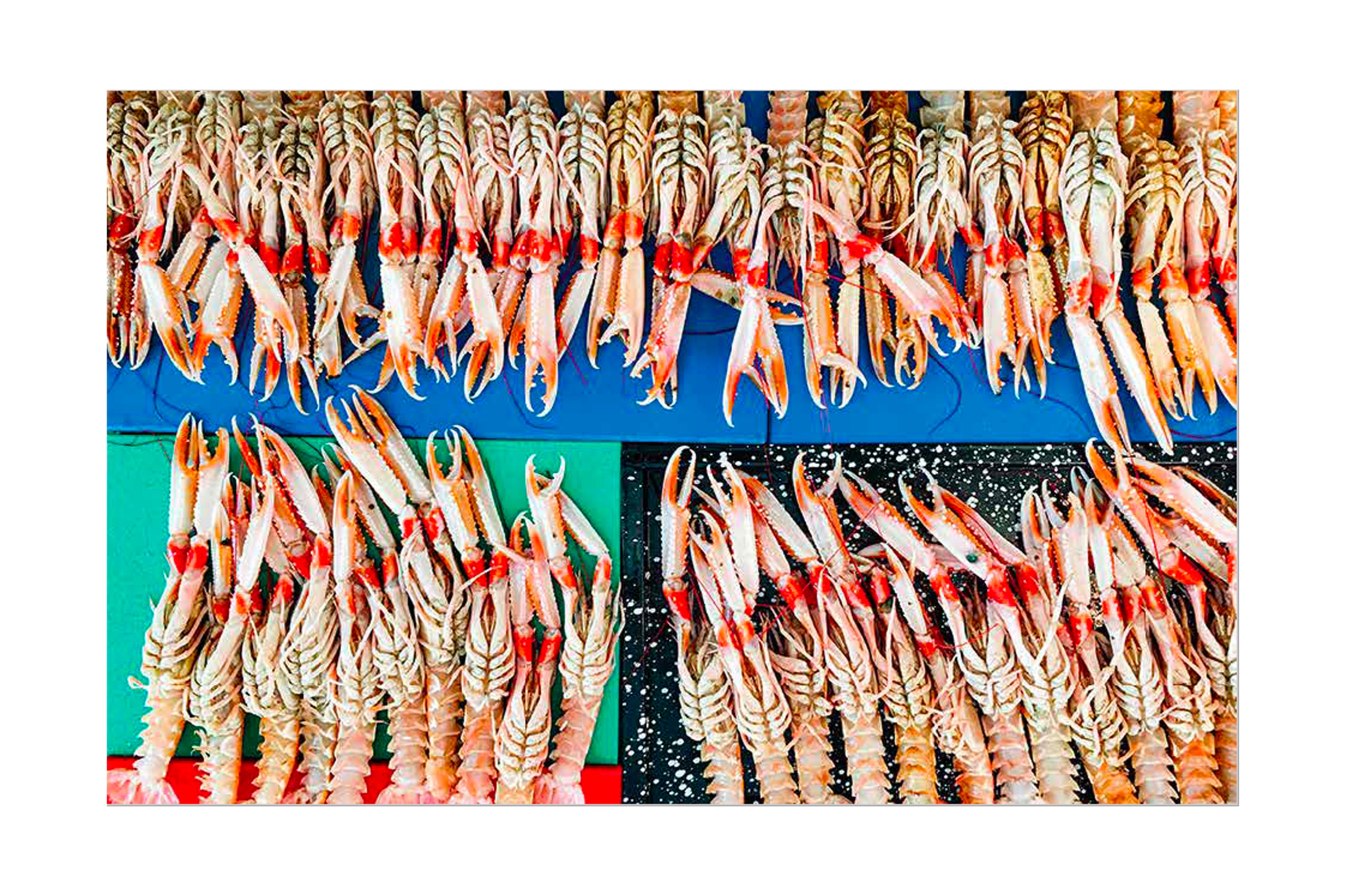 Osteria 16, Cookbook 1 (engelsk udgave)