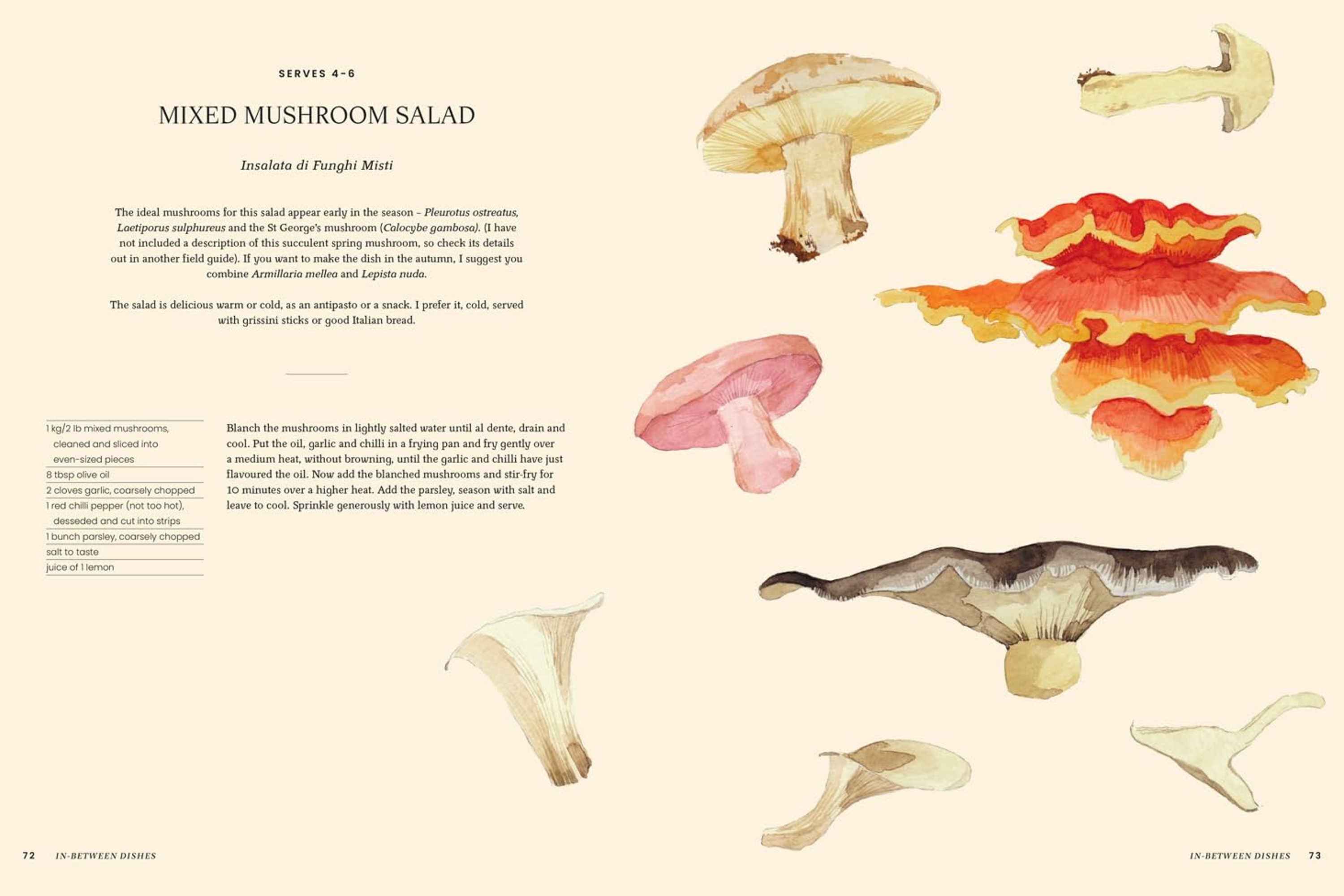 A Passion for Mushrooms – The Classic Cookbook