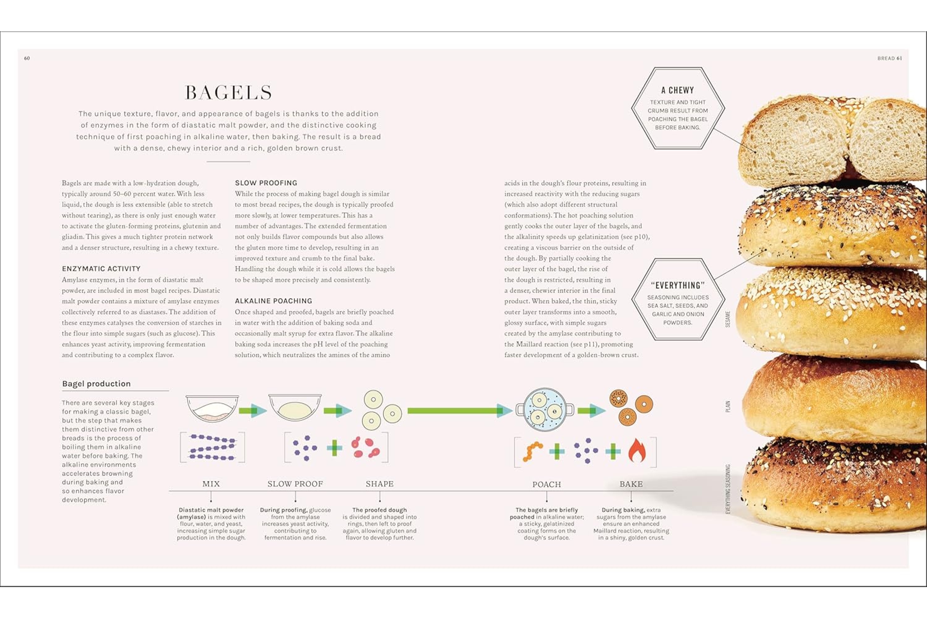 The Science of Baking