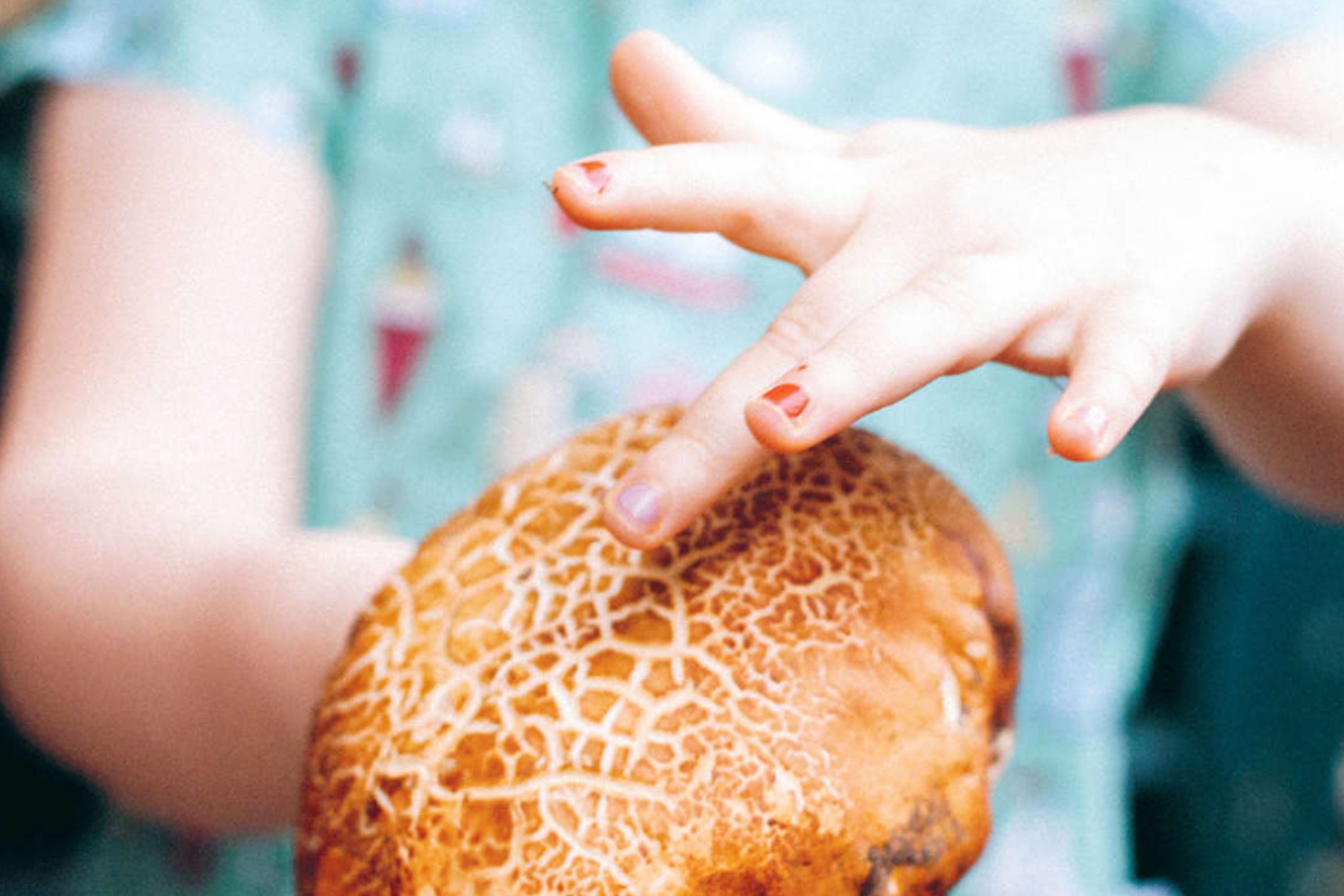 Acquacotta: Recipes and Stories from Tuscany's Secret Silver Coast / Emiko Davies