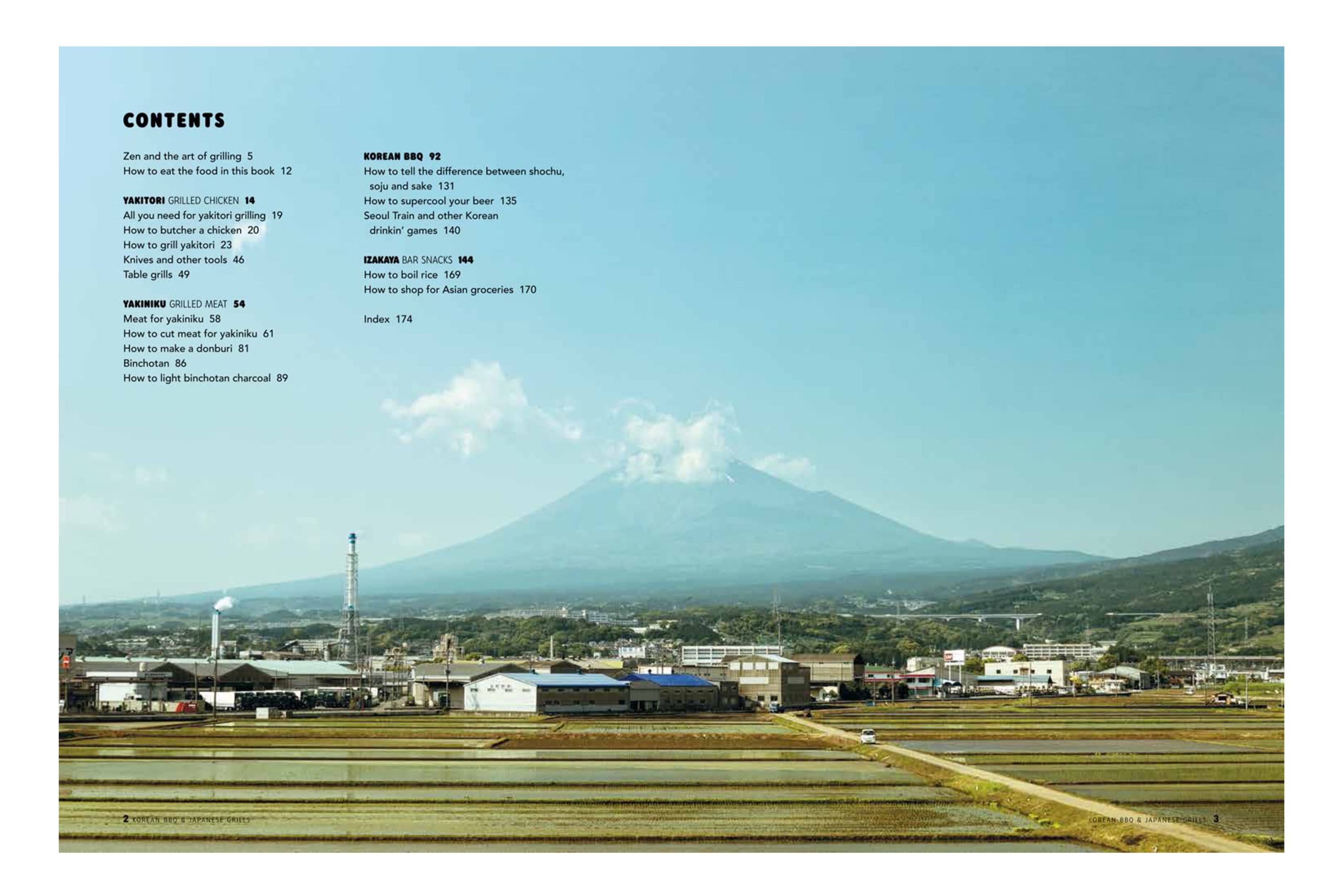 Korean BBQ & Japanese Grills: Yakitori, yakiniku, izakaya / Jonas Cramby