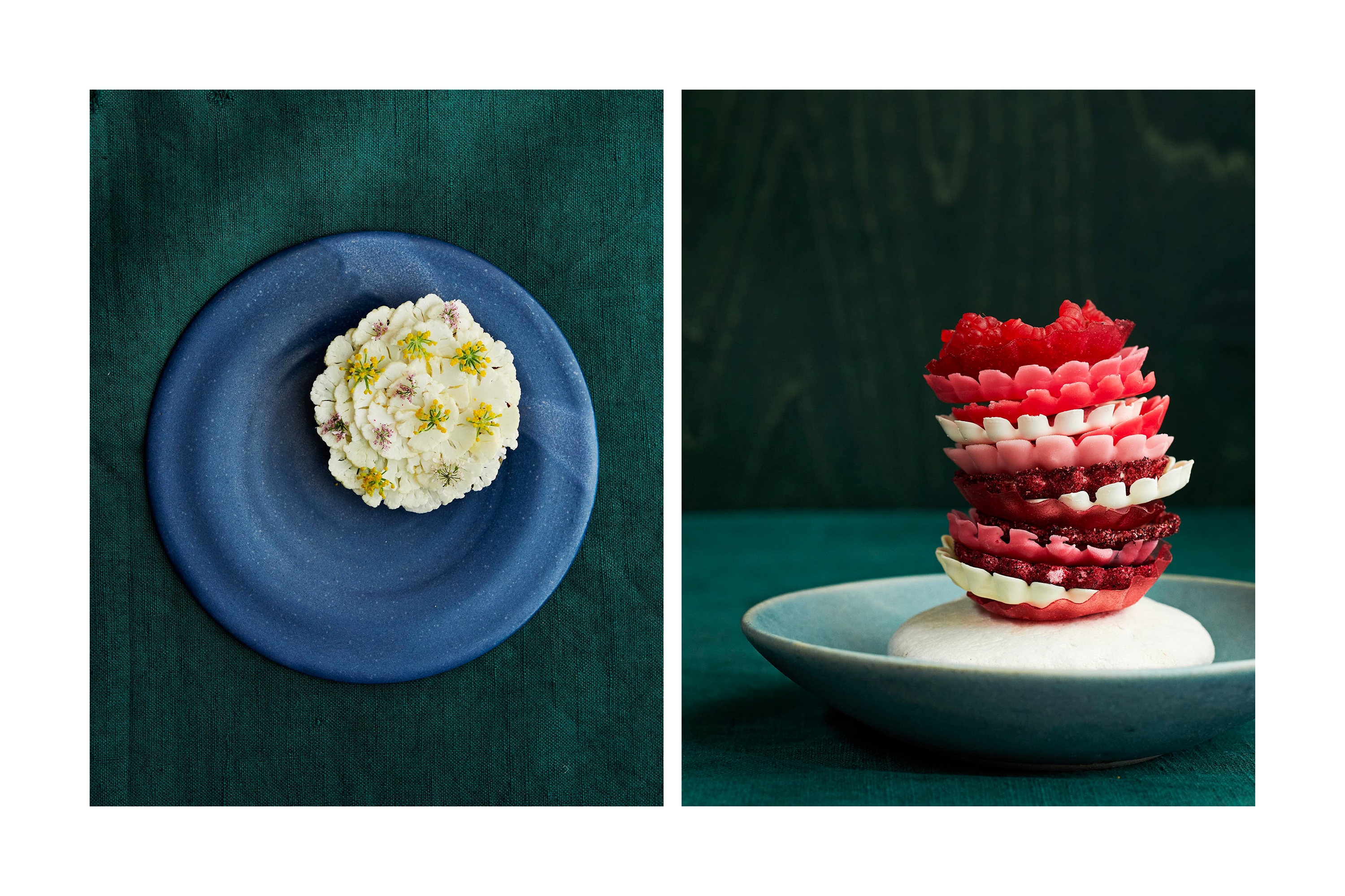 NOMA 2.0 /René Redzepi ノーマ/レネレゼピ Noma 2.0 Vegetable Forest Ocean - René Redzepi, Mette SO