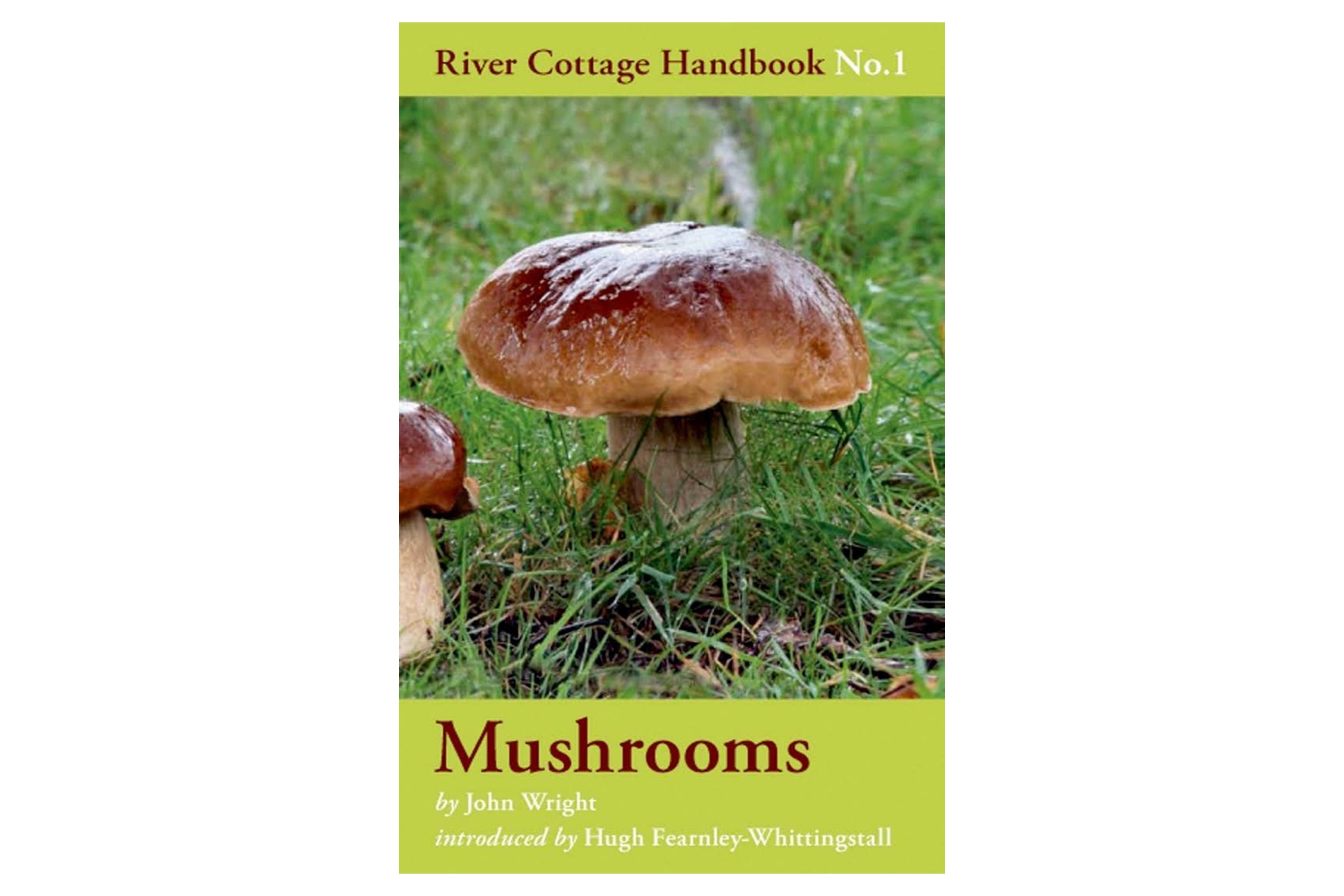 Mushrooms – River Cottage Handbook No. 1 / John Wright og Hugh Fearnley-Whittingstall