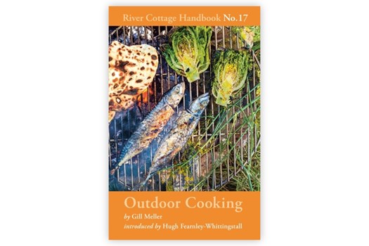 Outdoor Cooking / River Cottage Handbook No. 17