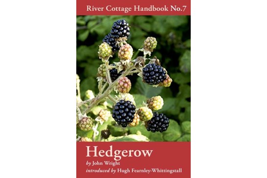 Hedgerow / River Cottage Handbook No. 7
