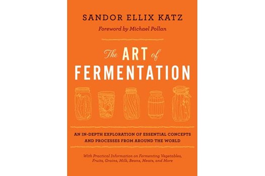 The Art of Fermentation / Sandor Ellix Katz