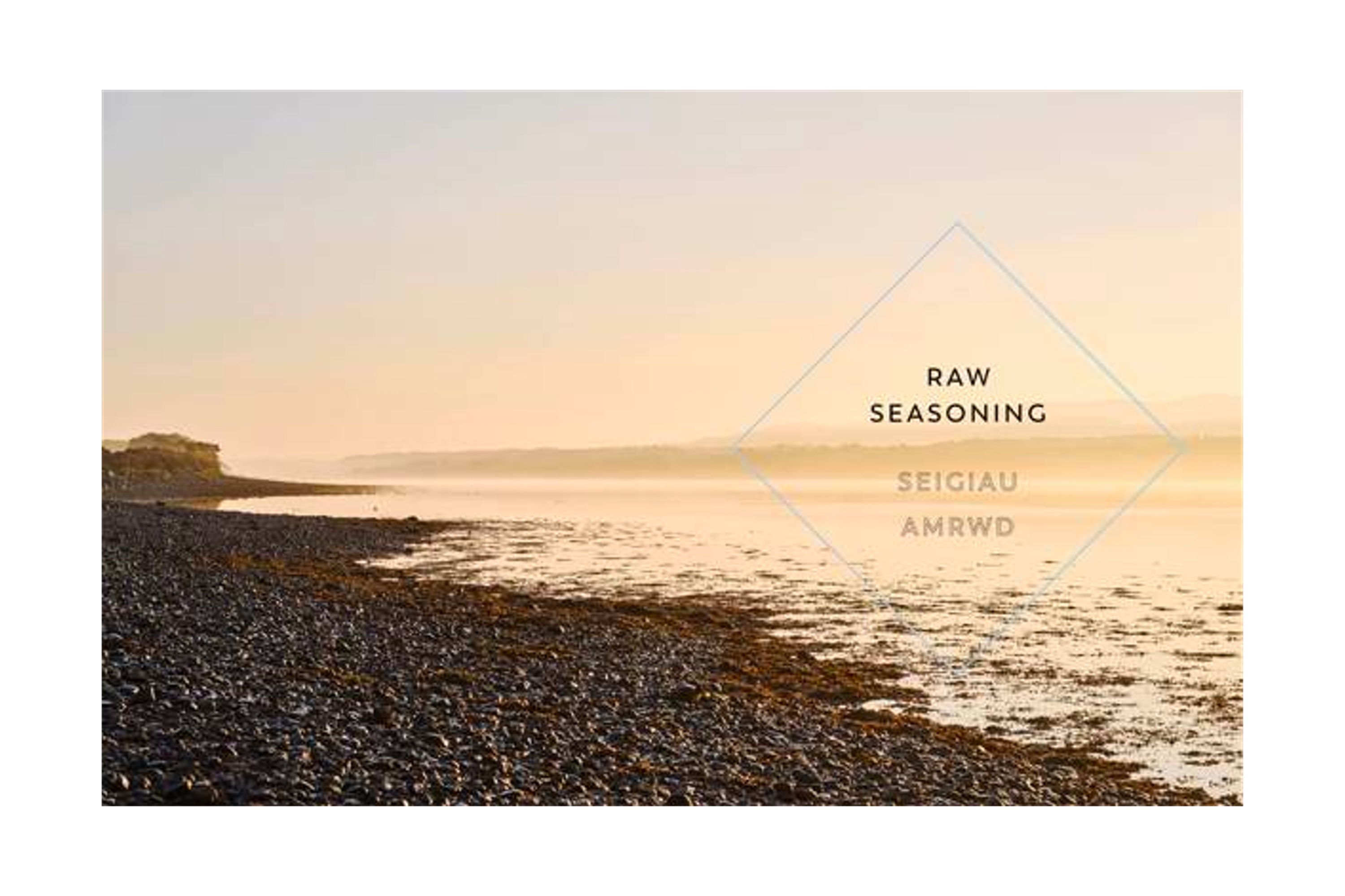 Sea Salt: A Perfectly Seasoned Cookbook / Lea-Wilson Family