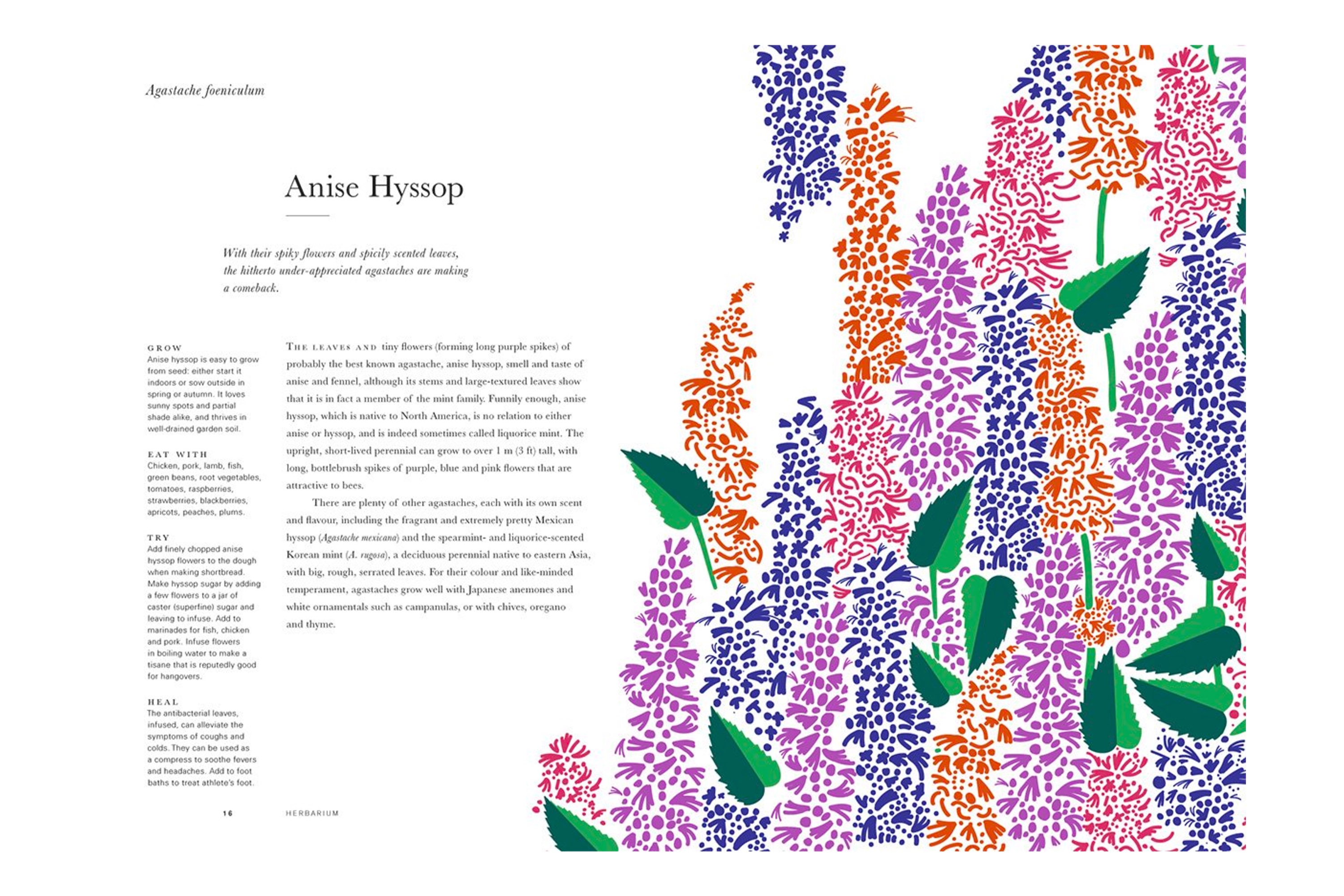  Herbarium – One Hundred Herbs: Grow, Cook, Heal / Caz Hildebrand