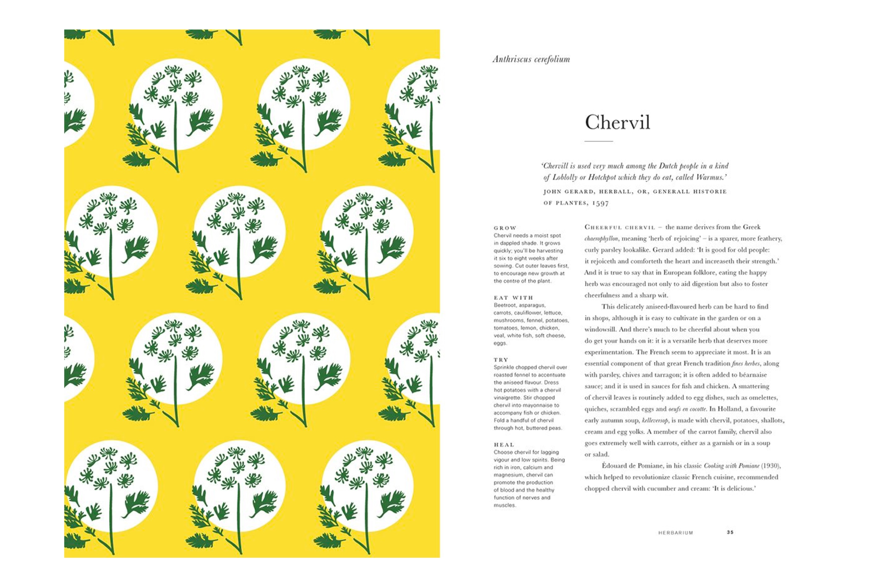  Herbarium – One Hundred Herbs: Grow, Cook, Heal / Caz Hildebrand