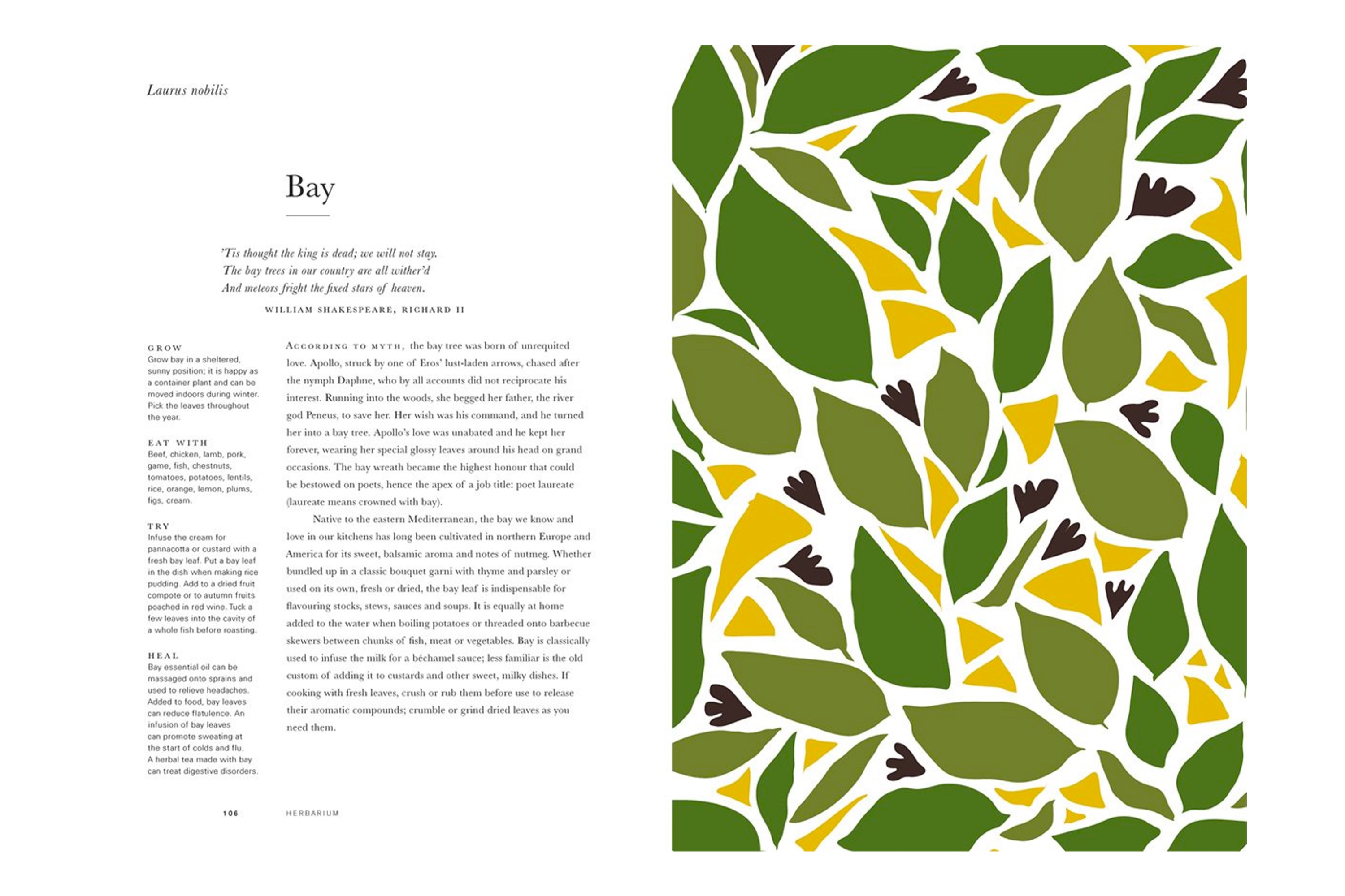  Herbarium – One Hundred Herbs: Grow, Cook, Heal / Caz Hildebrand