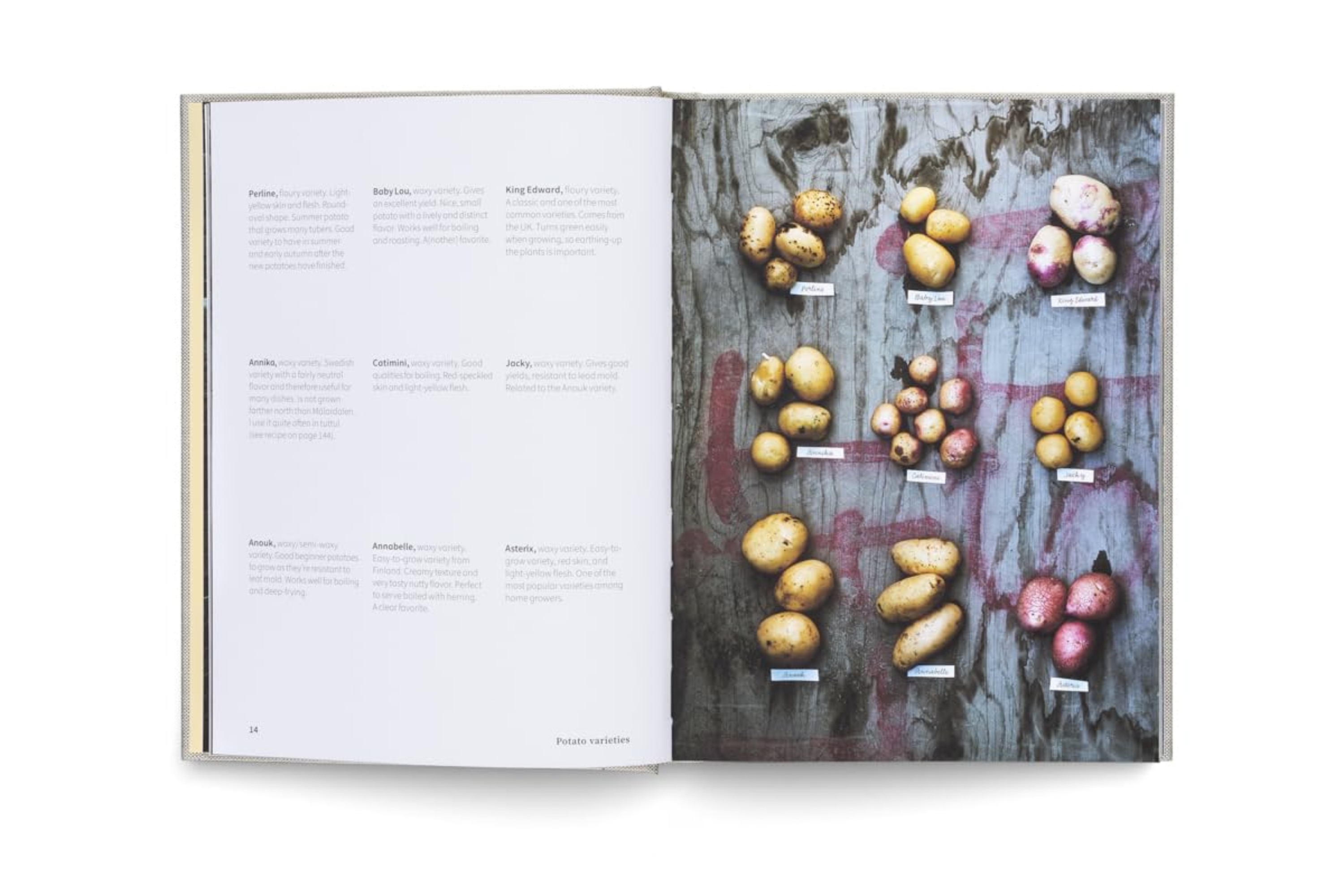 Potato Total: Timeless Recipes for Every Home Cook / Stefan Ekengren