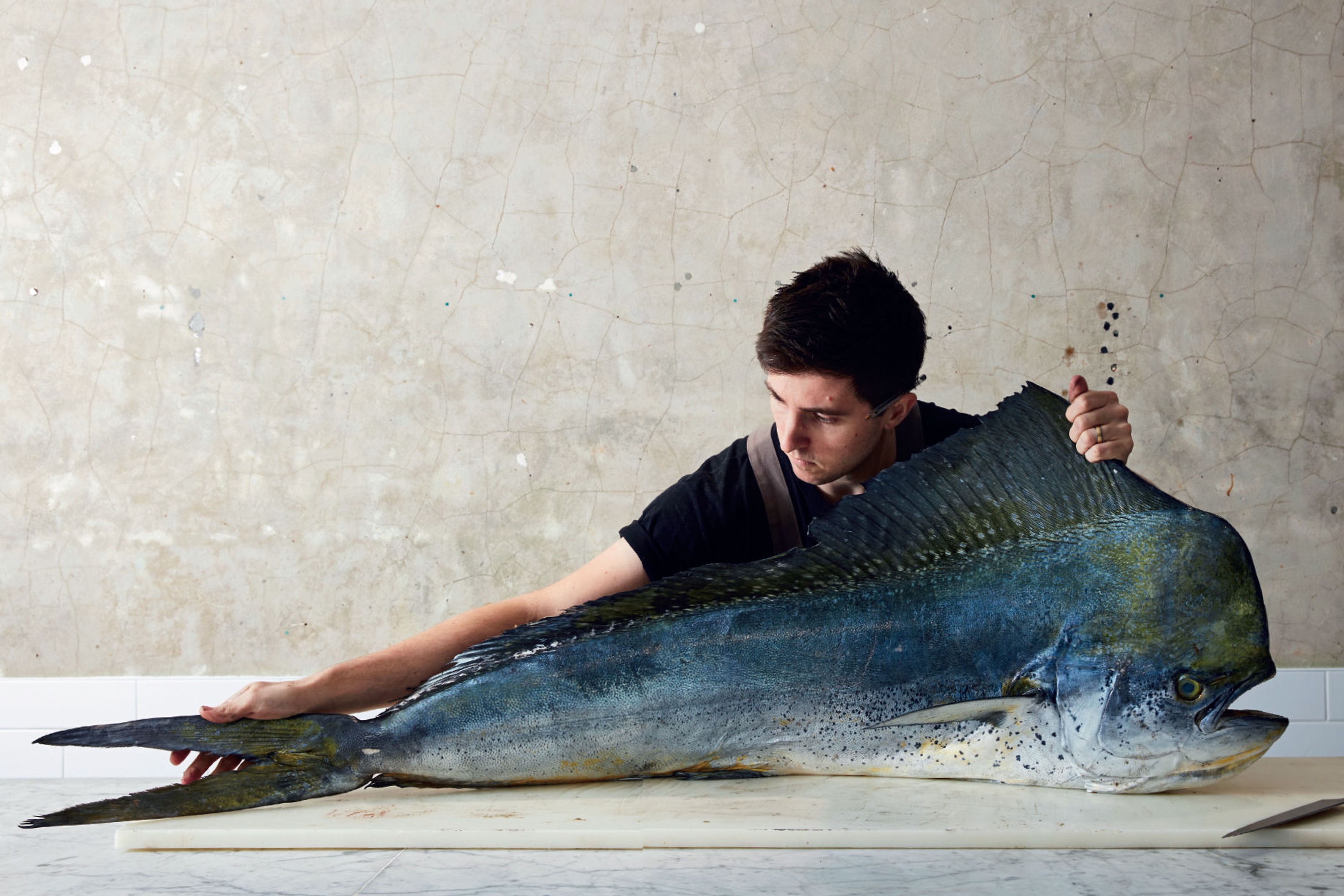 The Whole Fish Cook – New ways to Cook, Eat and Think / Josh Niland