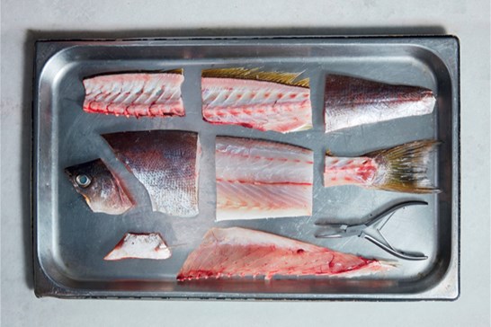 The Whole Fish Cookbook / Josh Niland