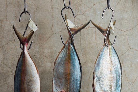 The Whole Fish Cookbook / Josh Niland