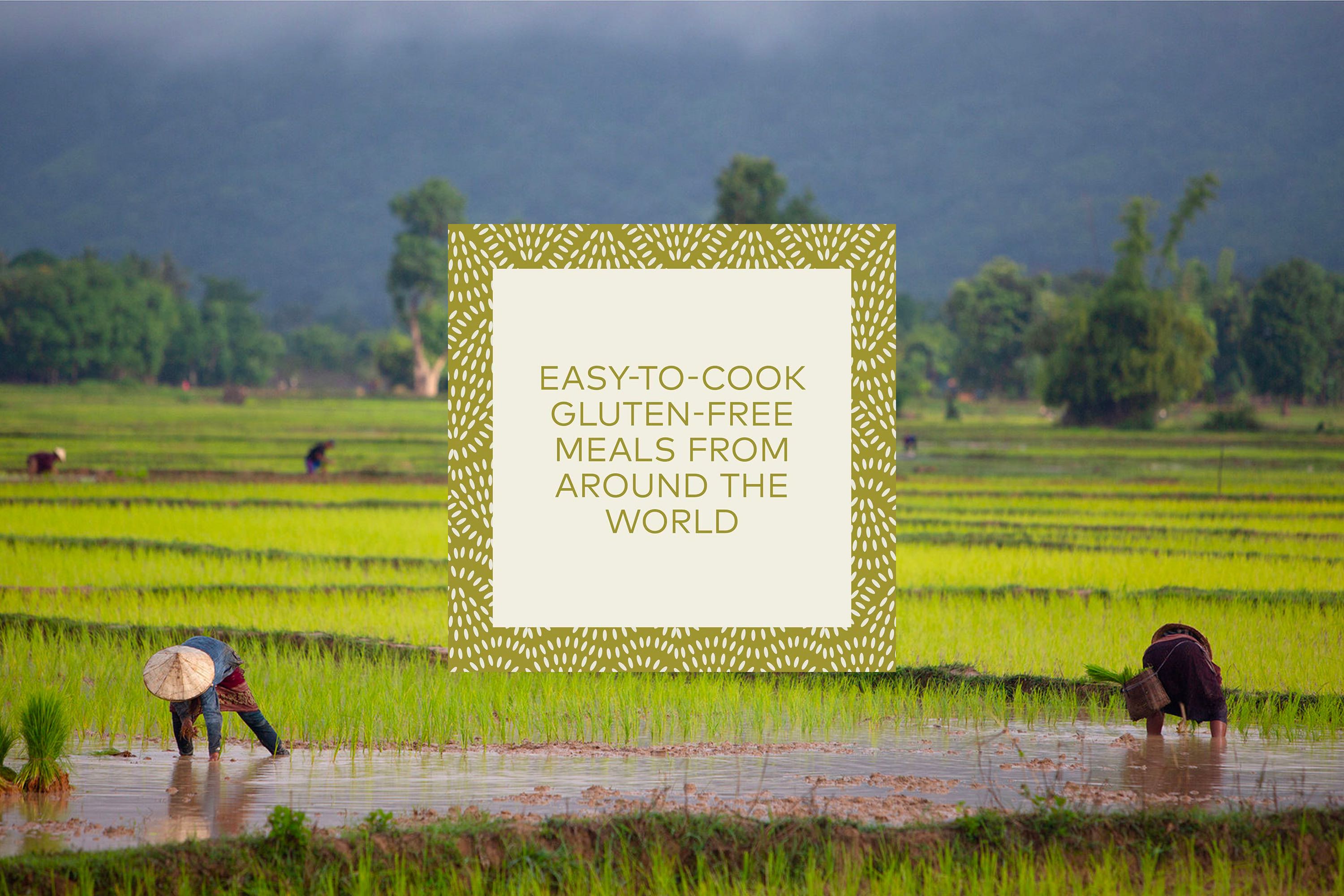 Rice Is Life – Recipes and Stories Celebrating the World's Most Essential Grain / Caryl Levine, Ken Lee og Kristin Donnelly