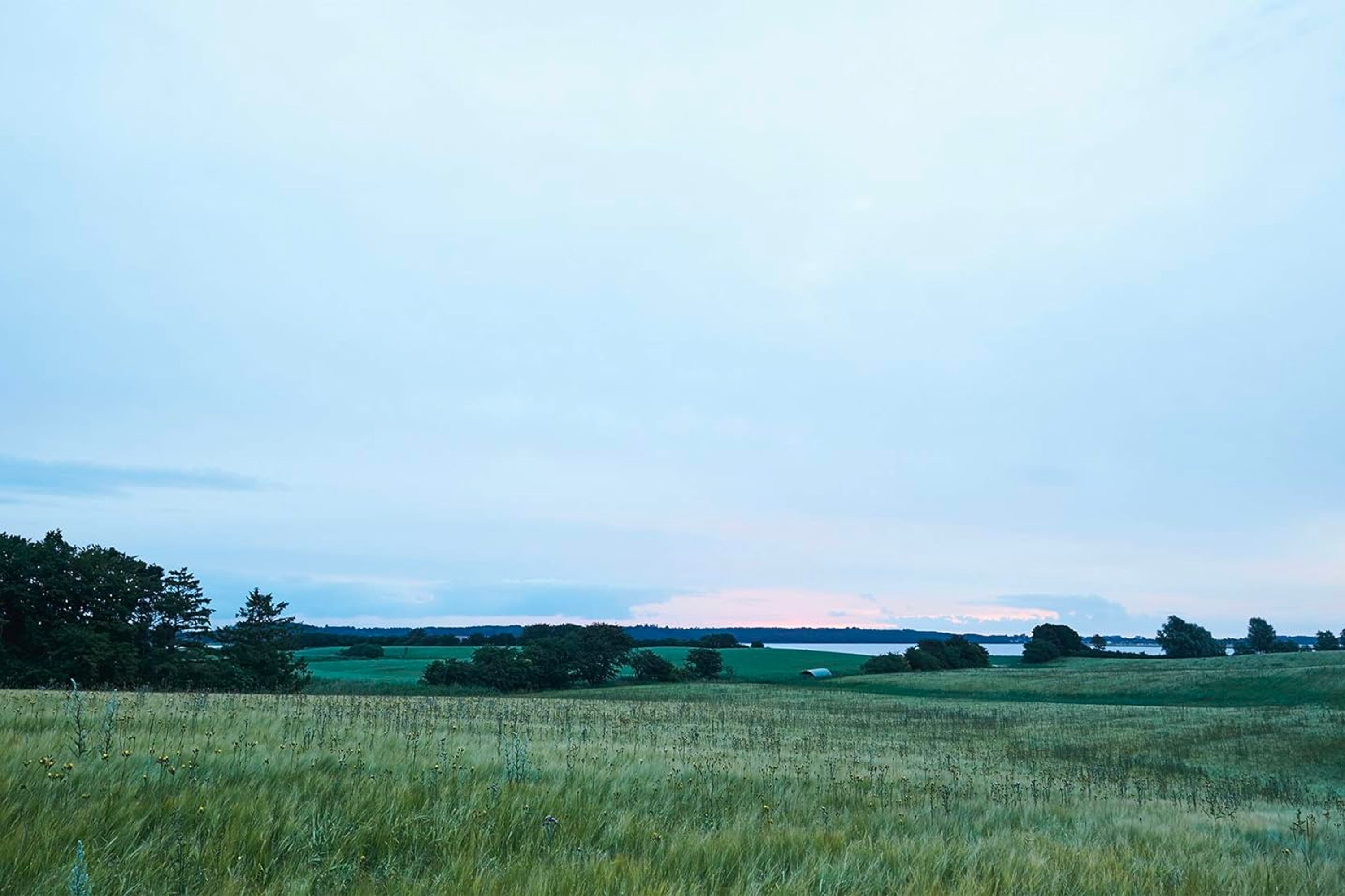 Evergreen: Vegan Recipes From A Nordic Kitchen / Mikkel Karstad