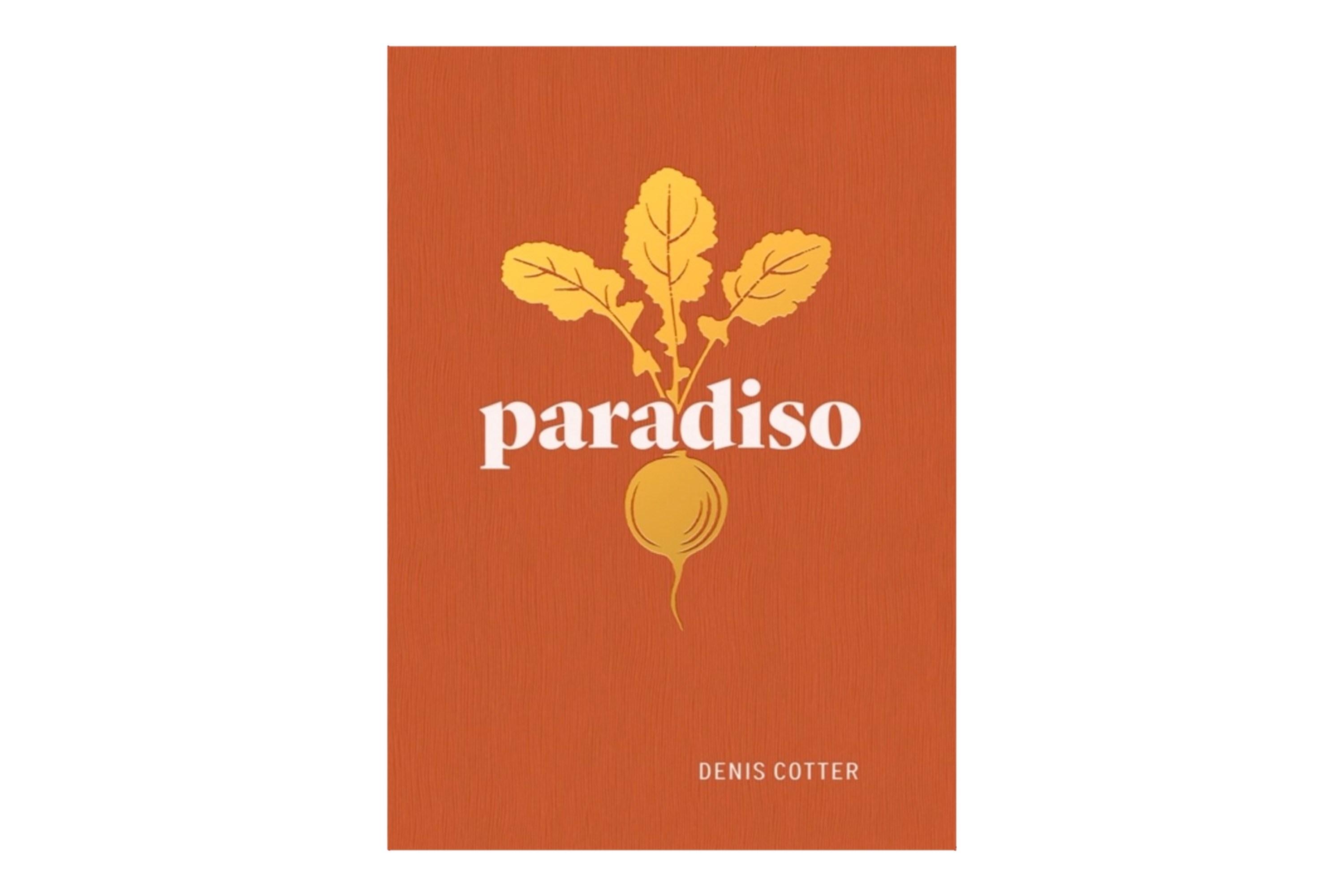 Paradiso: Recipes and Reflections / Denis Cotter