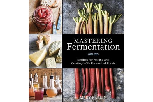 Mastering Fermentation / Mary Karlin