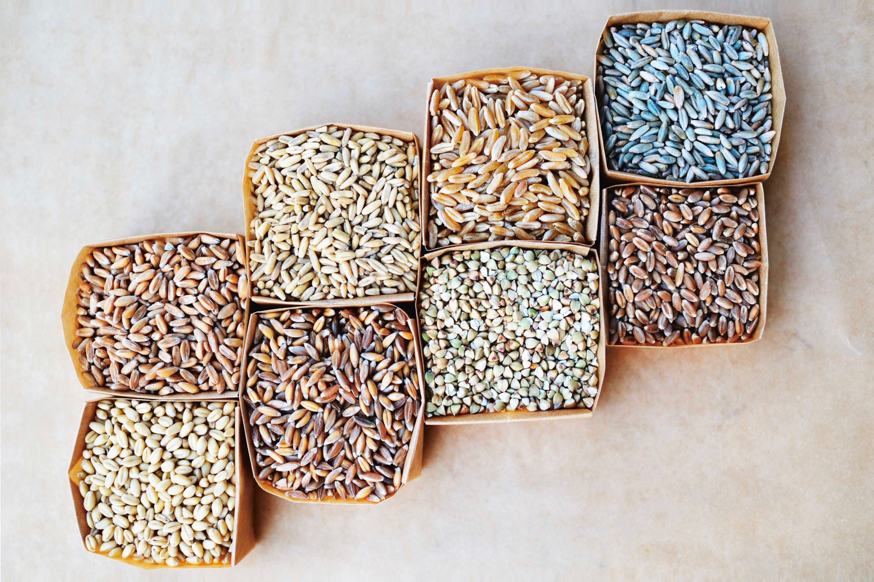 Tartine Book No. 3 – Ancient, Modern, Classic, Whole / Chad Robertson