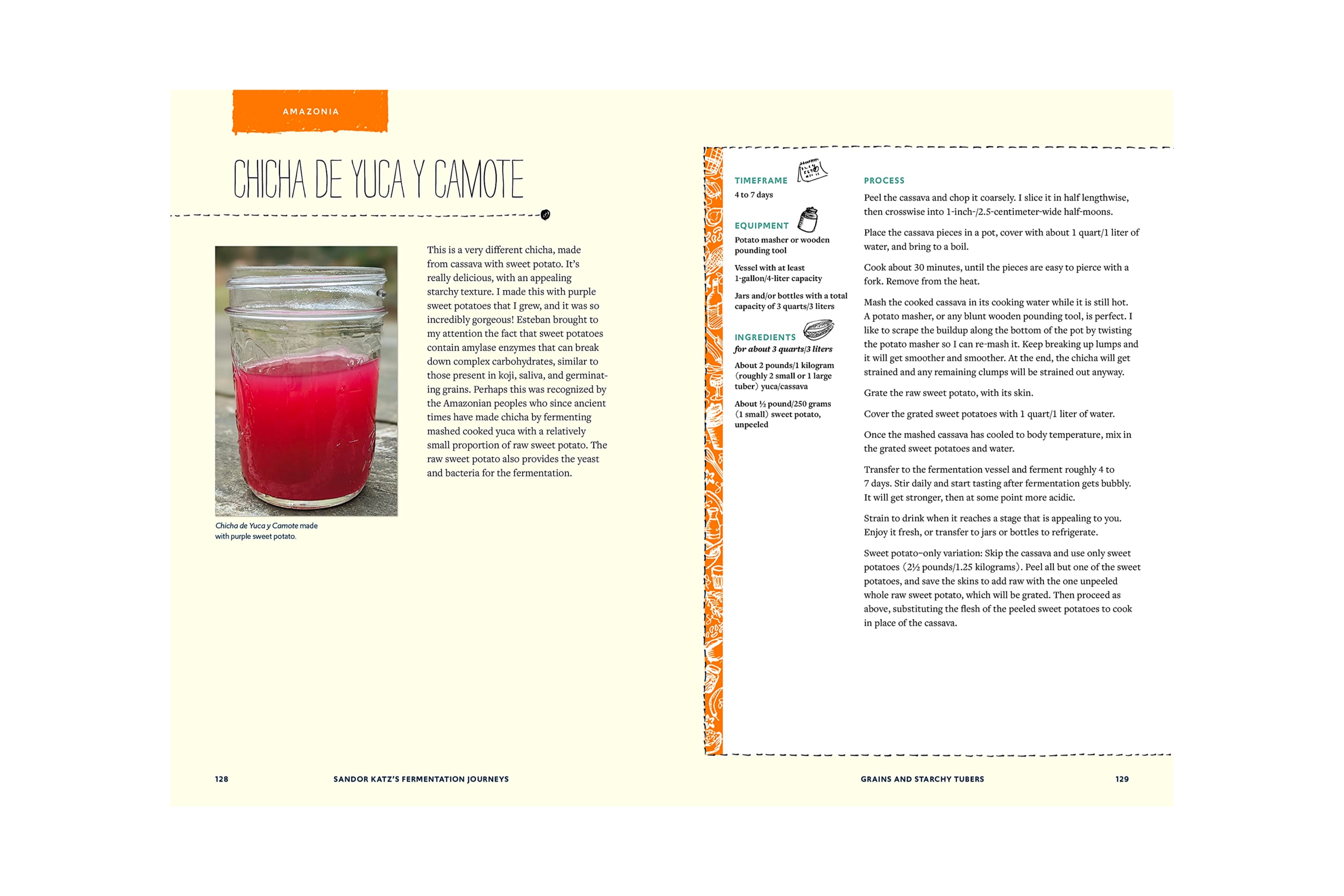 Sandor Katz’s Fermentation Journeys: Recipes, Techniques, and Traditions from around the World / Sandor Ellix Katz