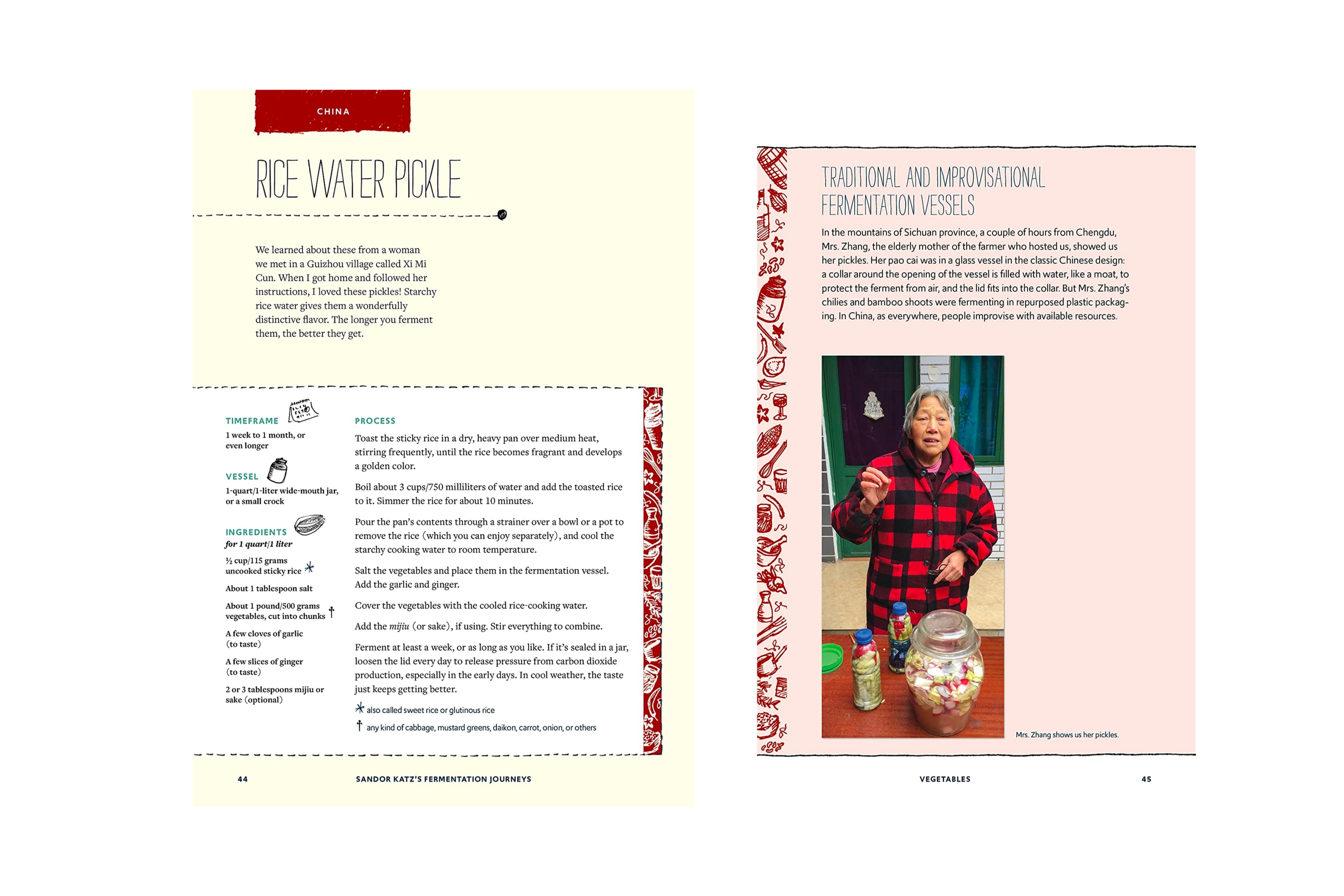 Sandor Katz’s Fermentation Journeys: Recipes, Techniques, and Traditions from around the World / Sandor Ellix Katz