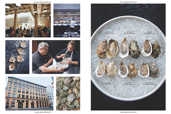 The Row 34 Cookbook: Stories and Recipes from a Neighbourhood Oyster Bar / Jeremy Sewall