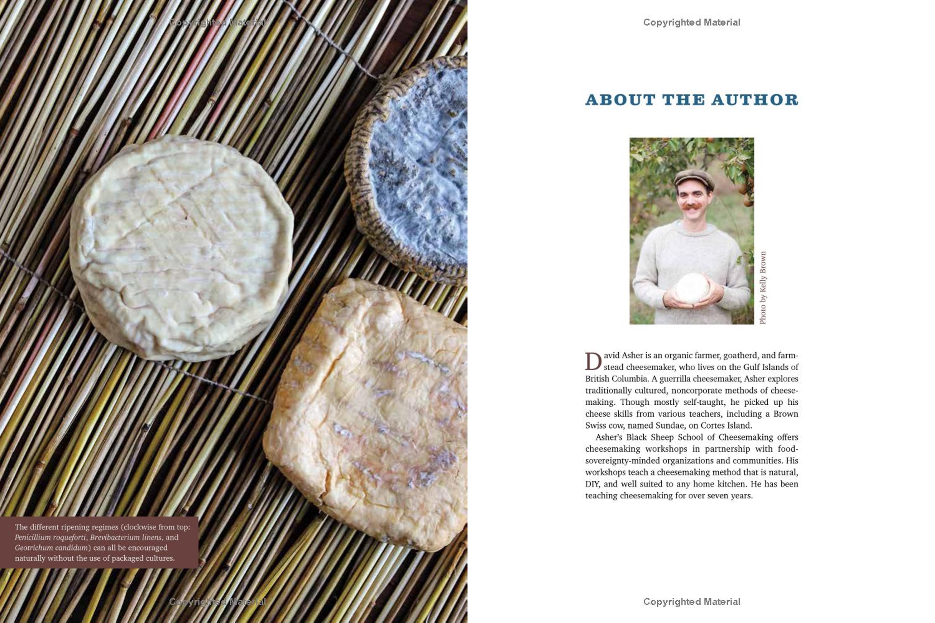 The Art of Natural Cheesemaking: Using Traditional, Non-Industrial Methods and Raw Ingredients to Make the World's Best Cheeses / David Asher