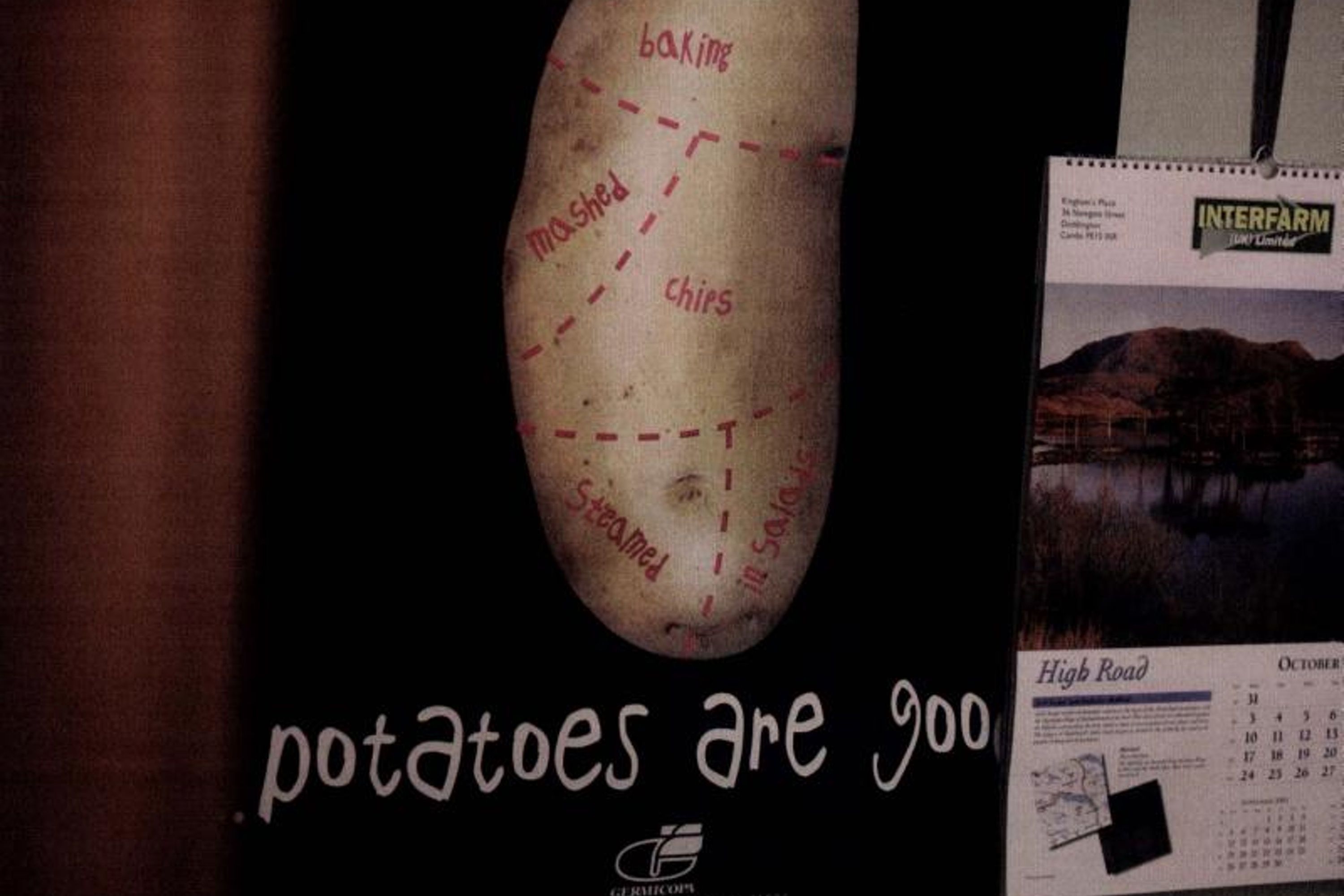 In Search of Perfection: Reinventing Kitchen Classics / Heston Blumenthal