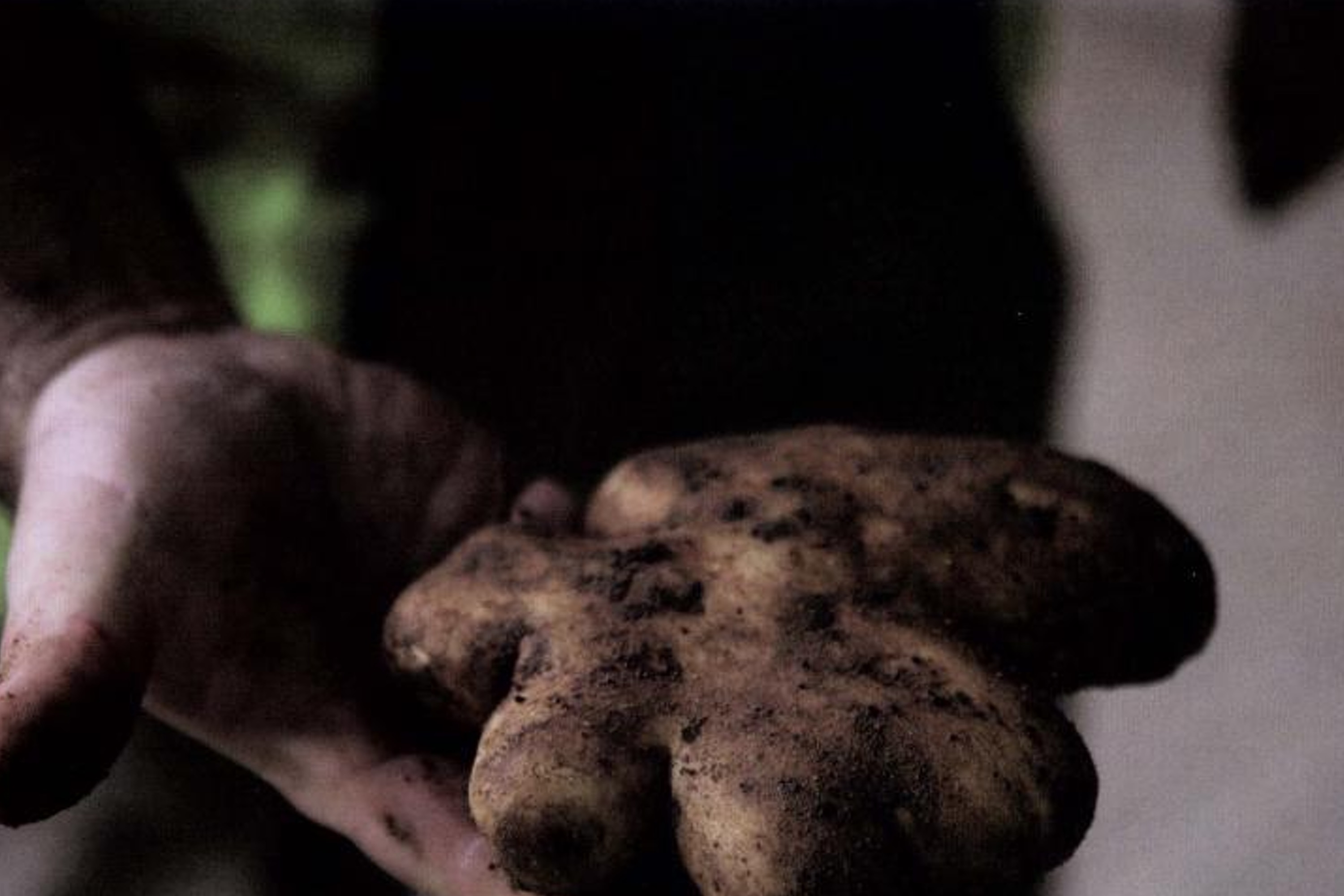 In Search of Perfection: Reinventing Kitchen Classics / Heston Blumenthal