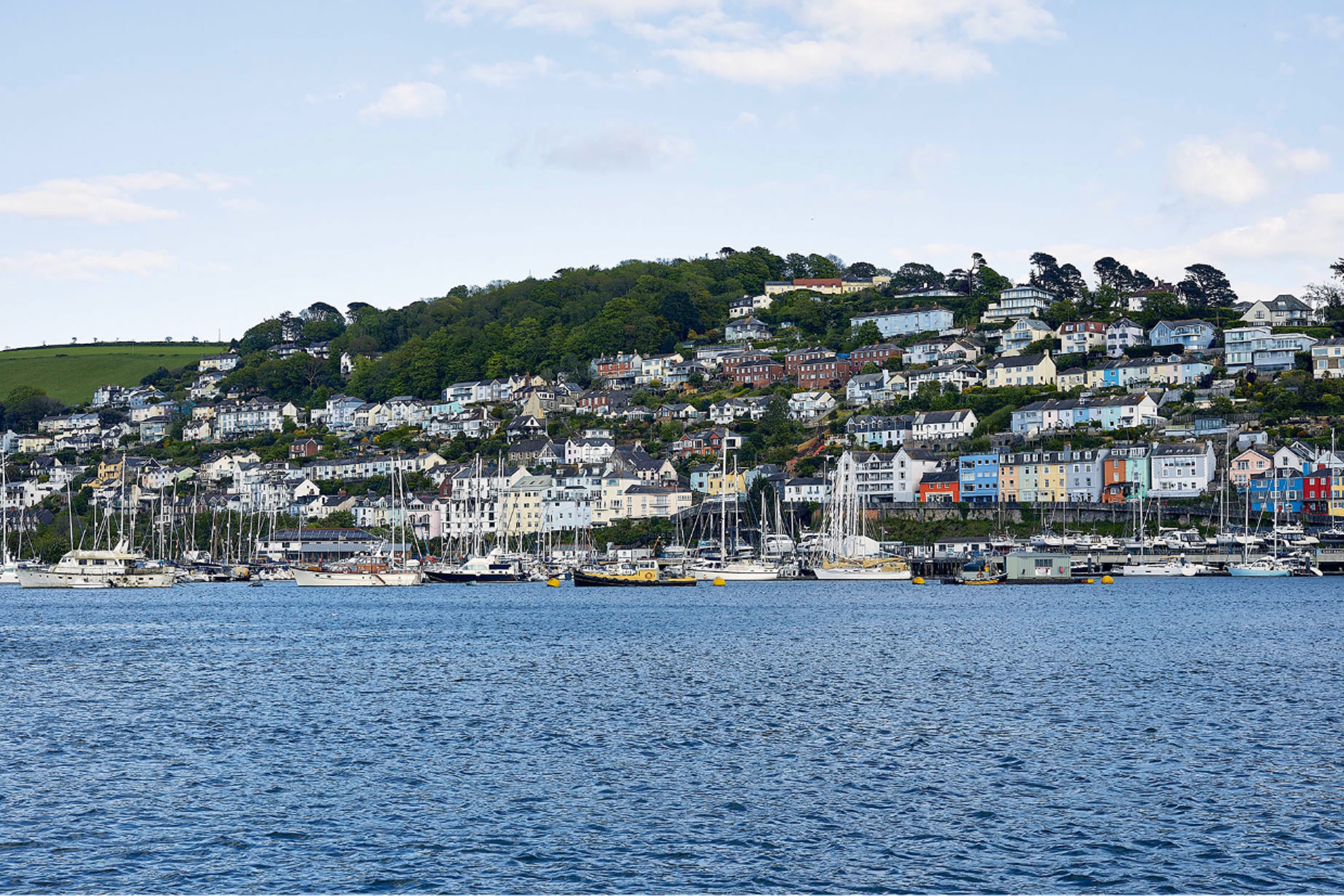 The Angel / Elly Wentworth