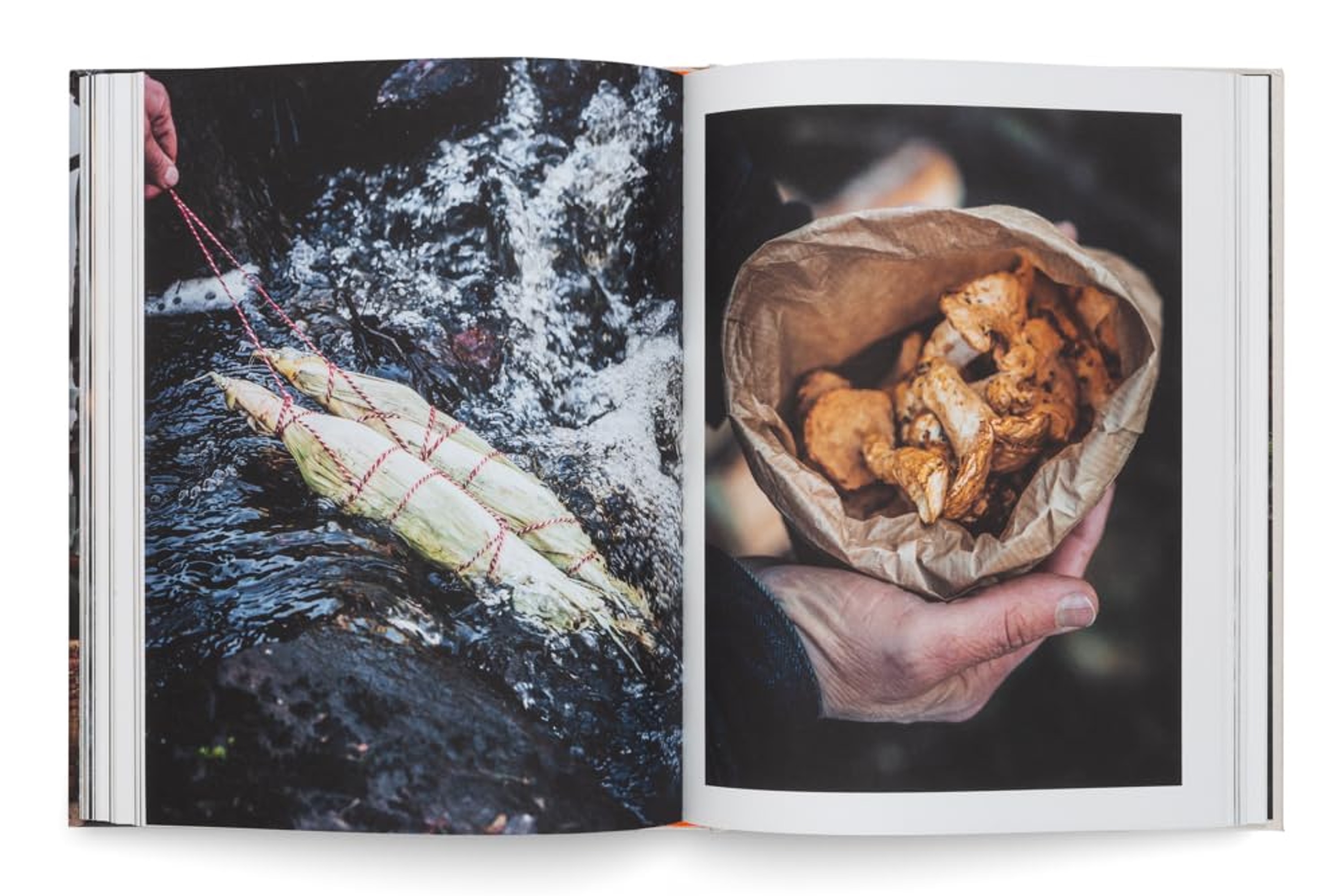 Cooking Greens on Fire: Vegetarian Recipes for the Dutch Oven and Grill / Eva & Nicolai Tram