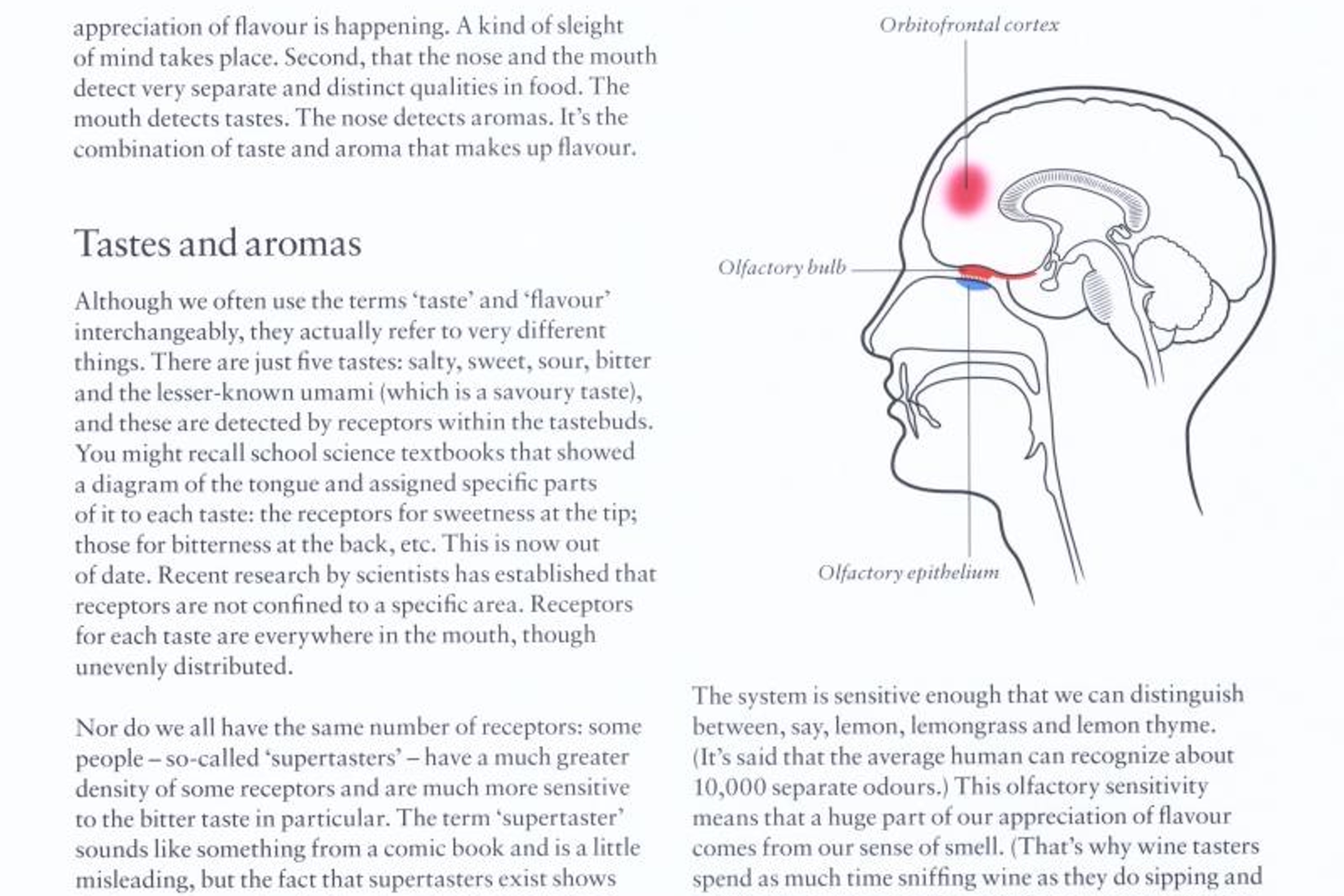 Heston Blumenthal at home / Heston Blumenthal